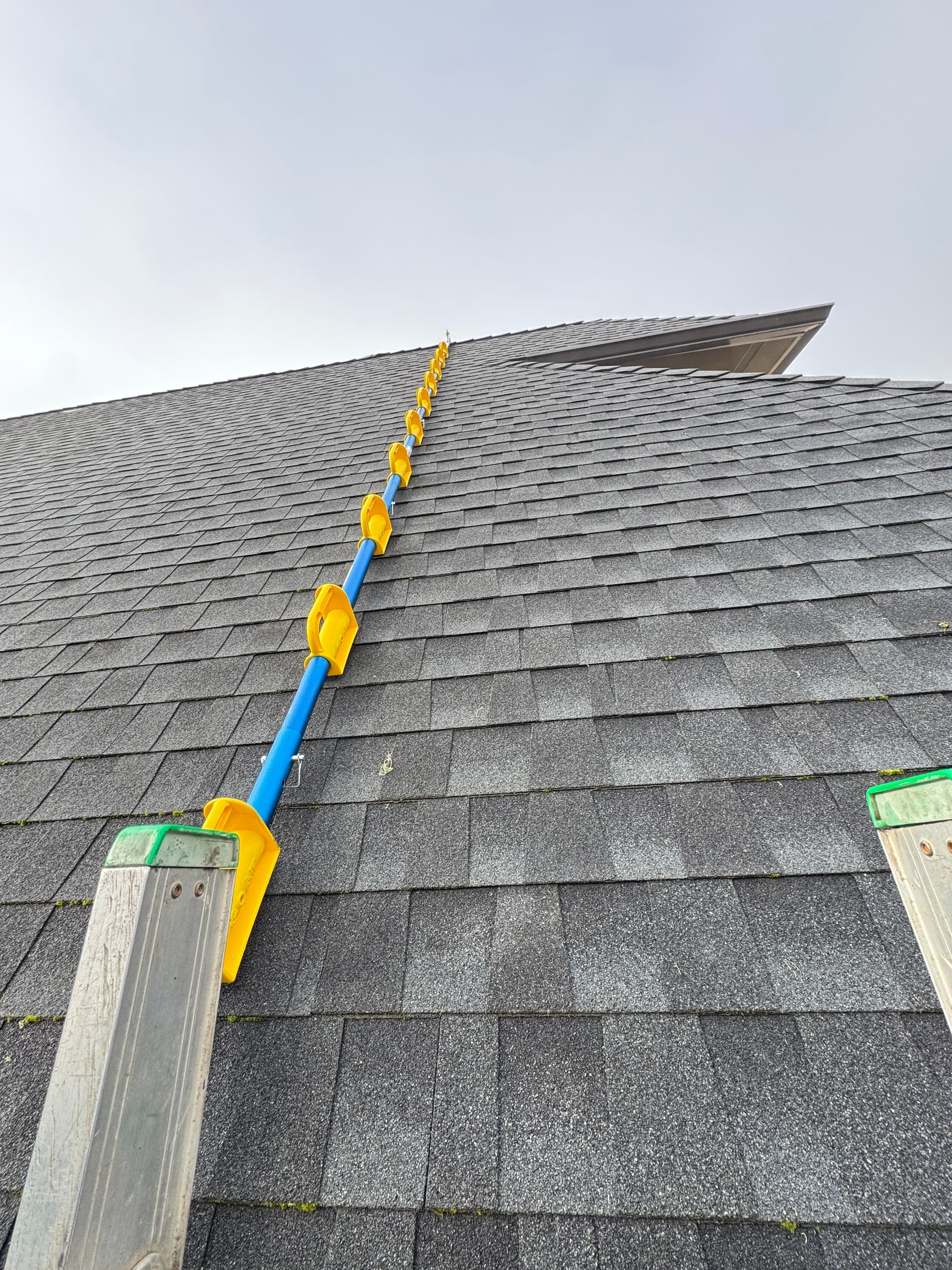 Thorough Roof and Gutter Cleaning Excellence