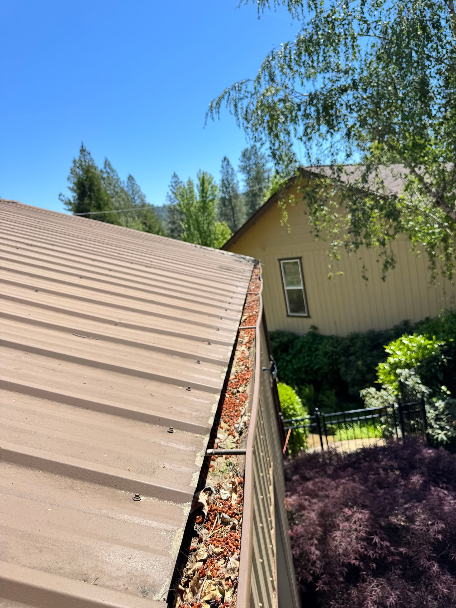 Gallery photos for Roof Moss Treatment and Gutter Cleaning on a House and Shop: Image #1