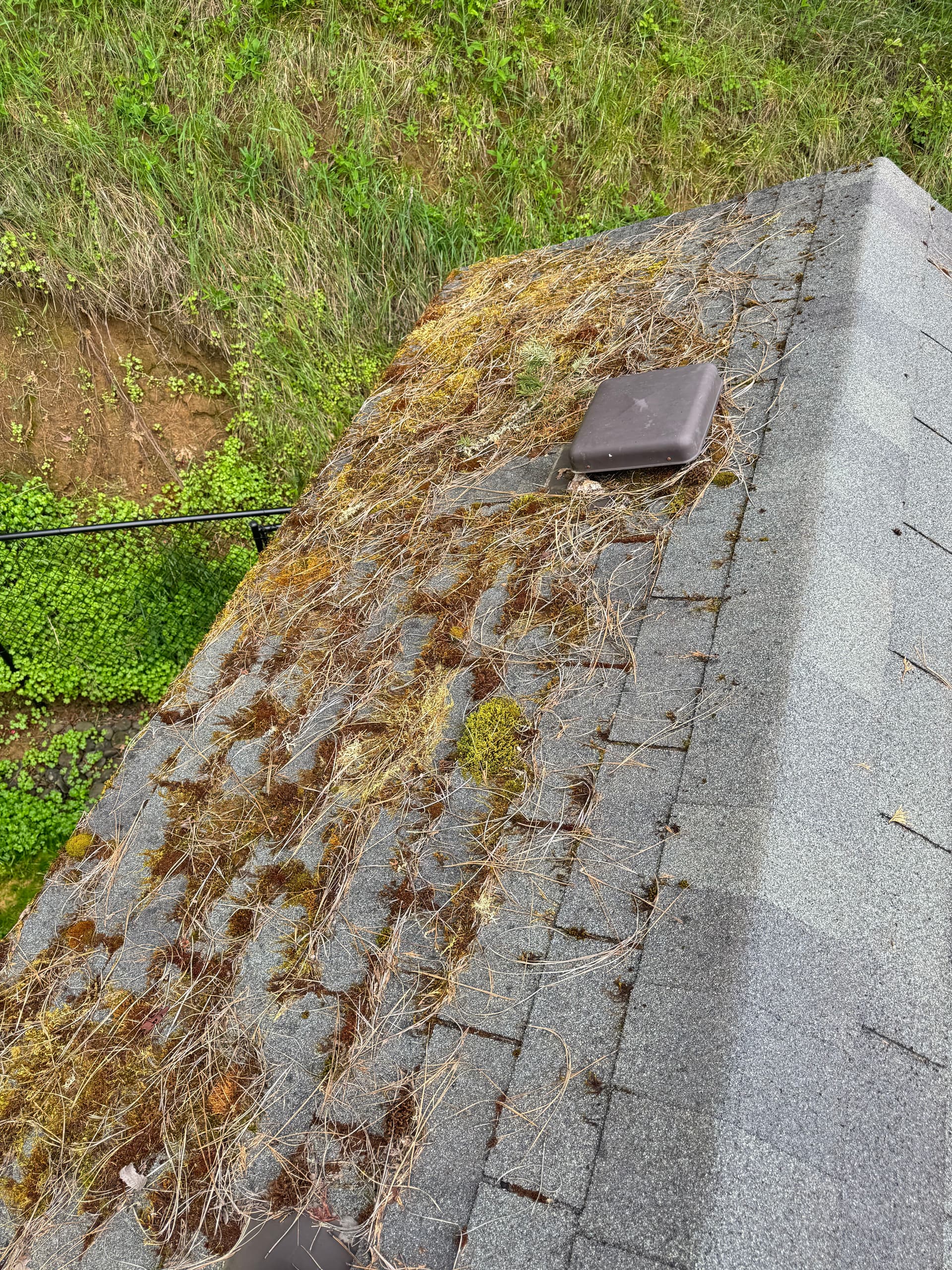 Gallery photos for Heavy Moss Takeover on a 2-Story Roof - Completely Cleared: Image #2