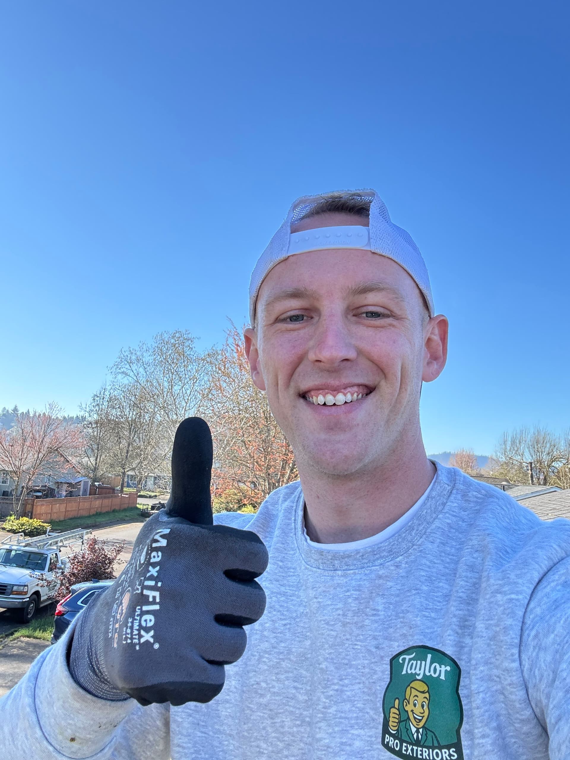 Roof Moss Removal and Gutter Cleaning Excellence