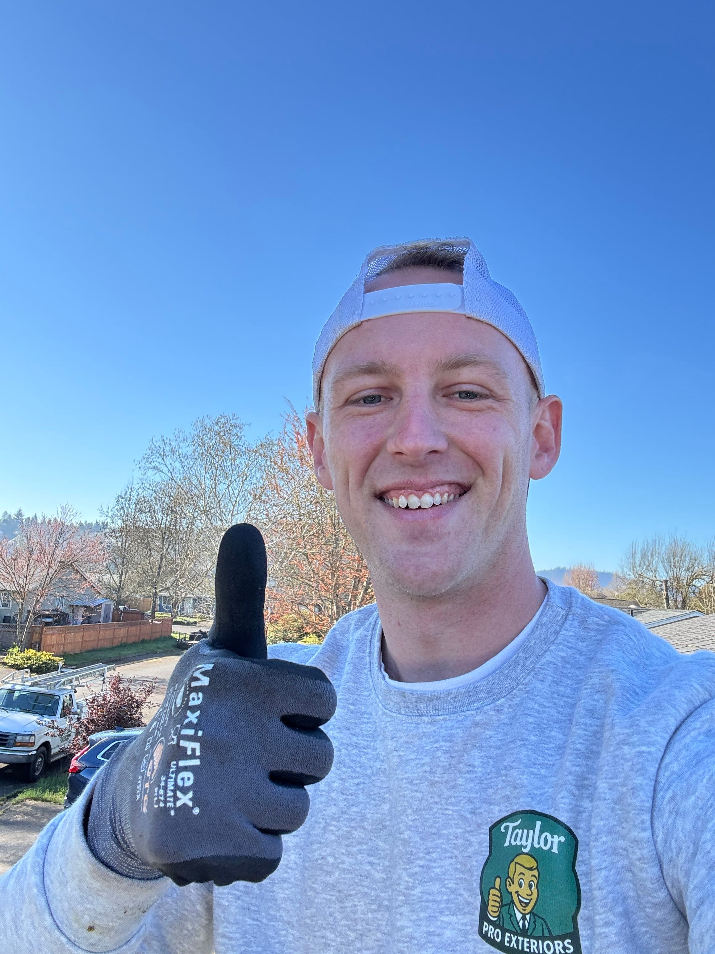 Project Roof Moss Removal and Gutter Cleaning Excellence image