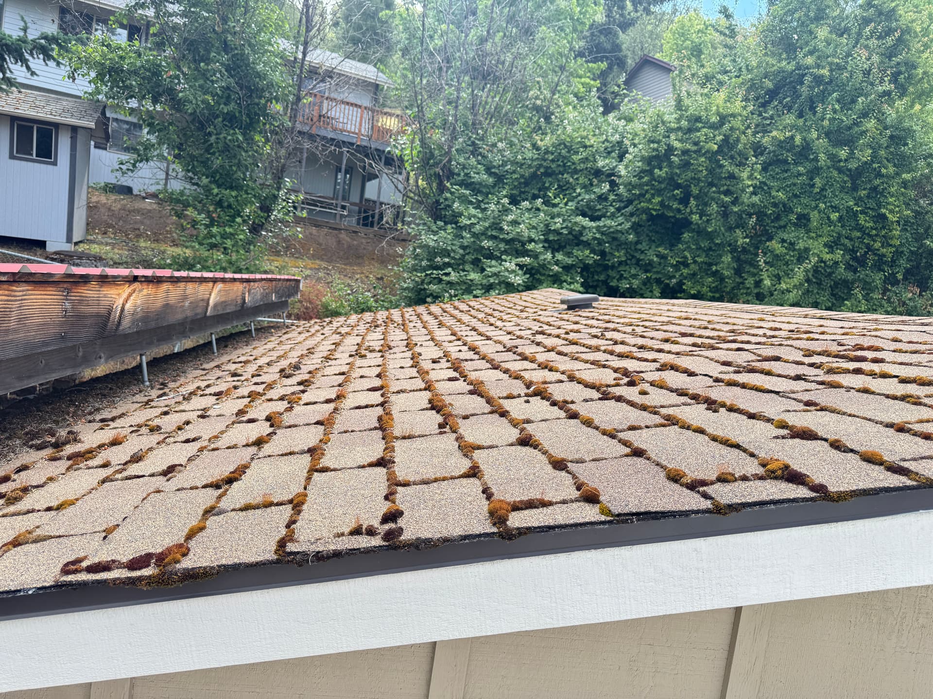 Full Roof Maintenance - Moss Removal, Treatment, and Gutter Cleaning image