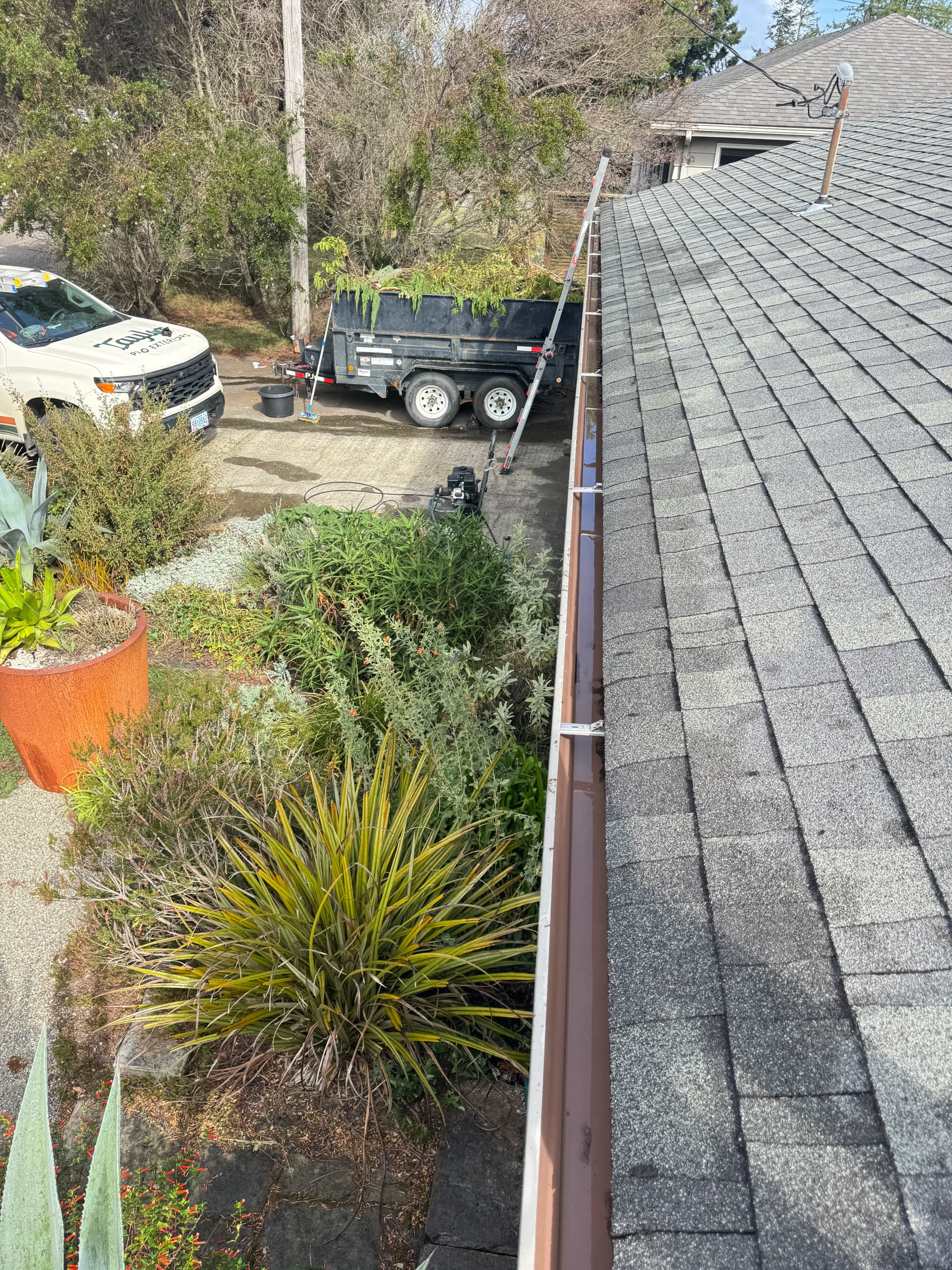 Gallery photos for Gutters Cleaned, Windows Washed, Whole House Freshened Up: Image #2