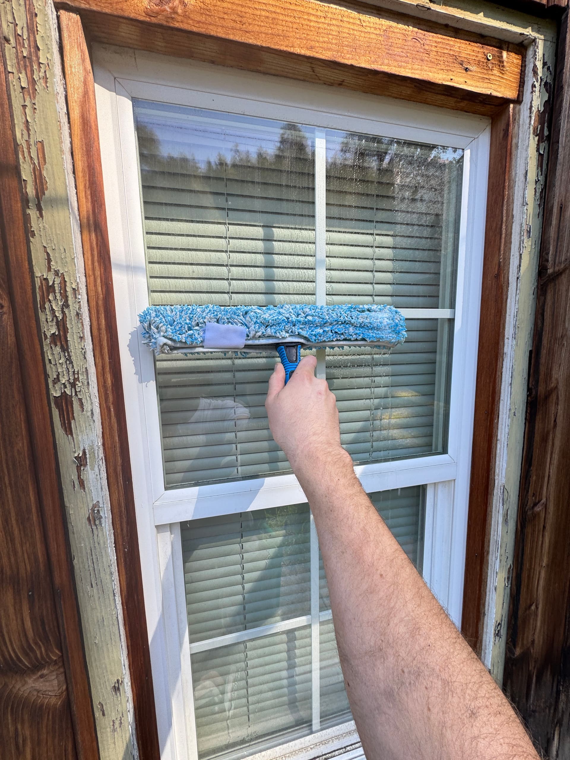 Gallery photos for Full-Service Property Cleanup with Roof and Window Care: Image #5