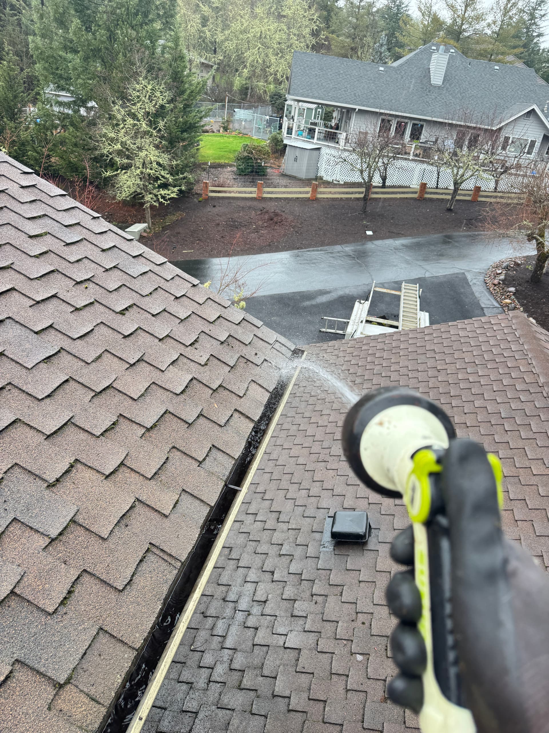 Gallery photos for Professional Roof Moss and Gutter Cleaning Service: Image #5