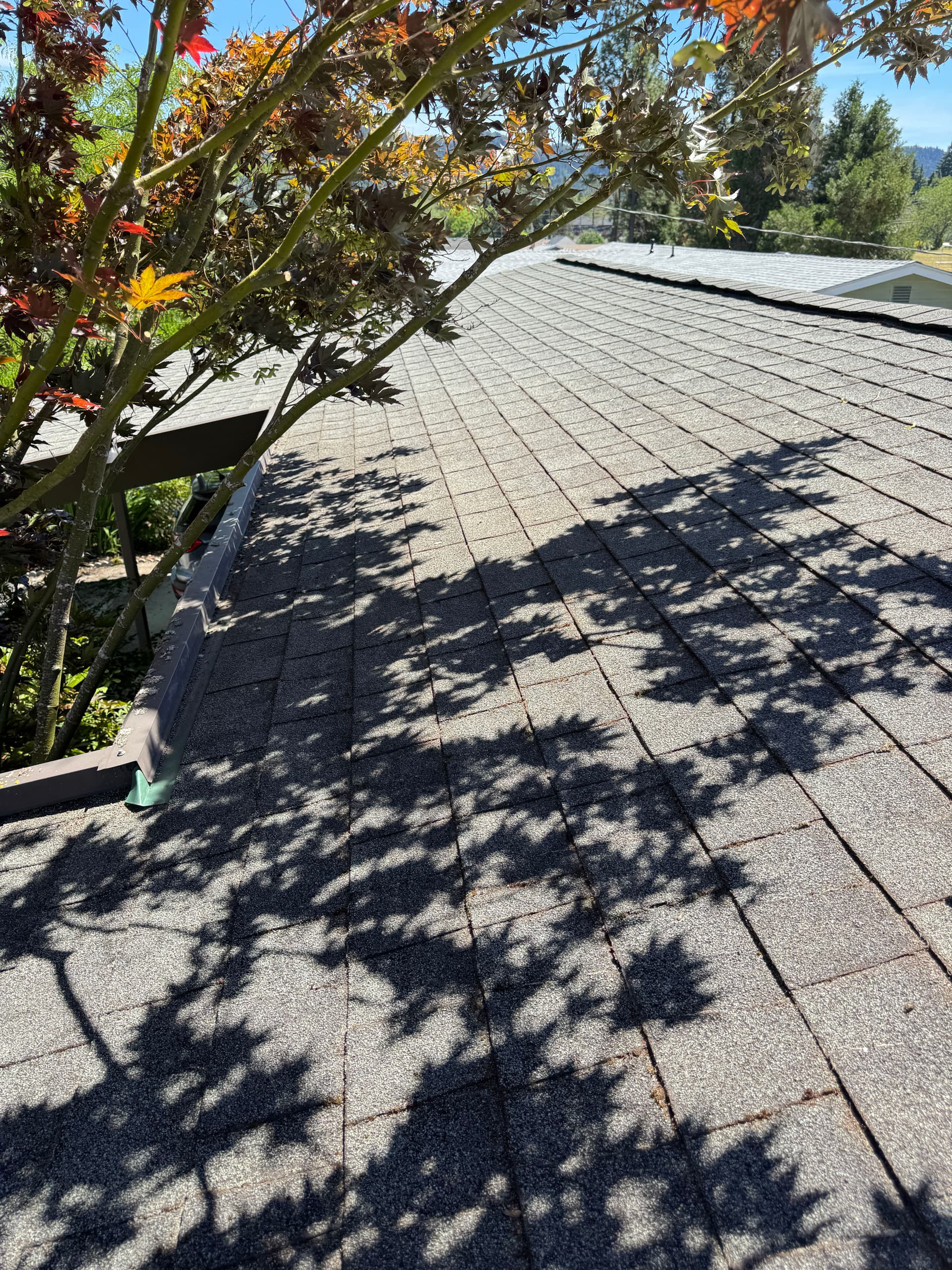 Gallery photos for Roof Moss Removal and Gutter Cleaning Done Right: Image #6