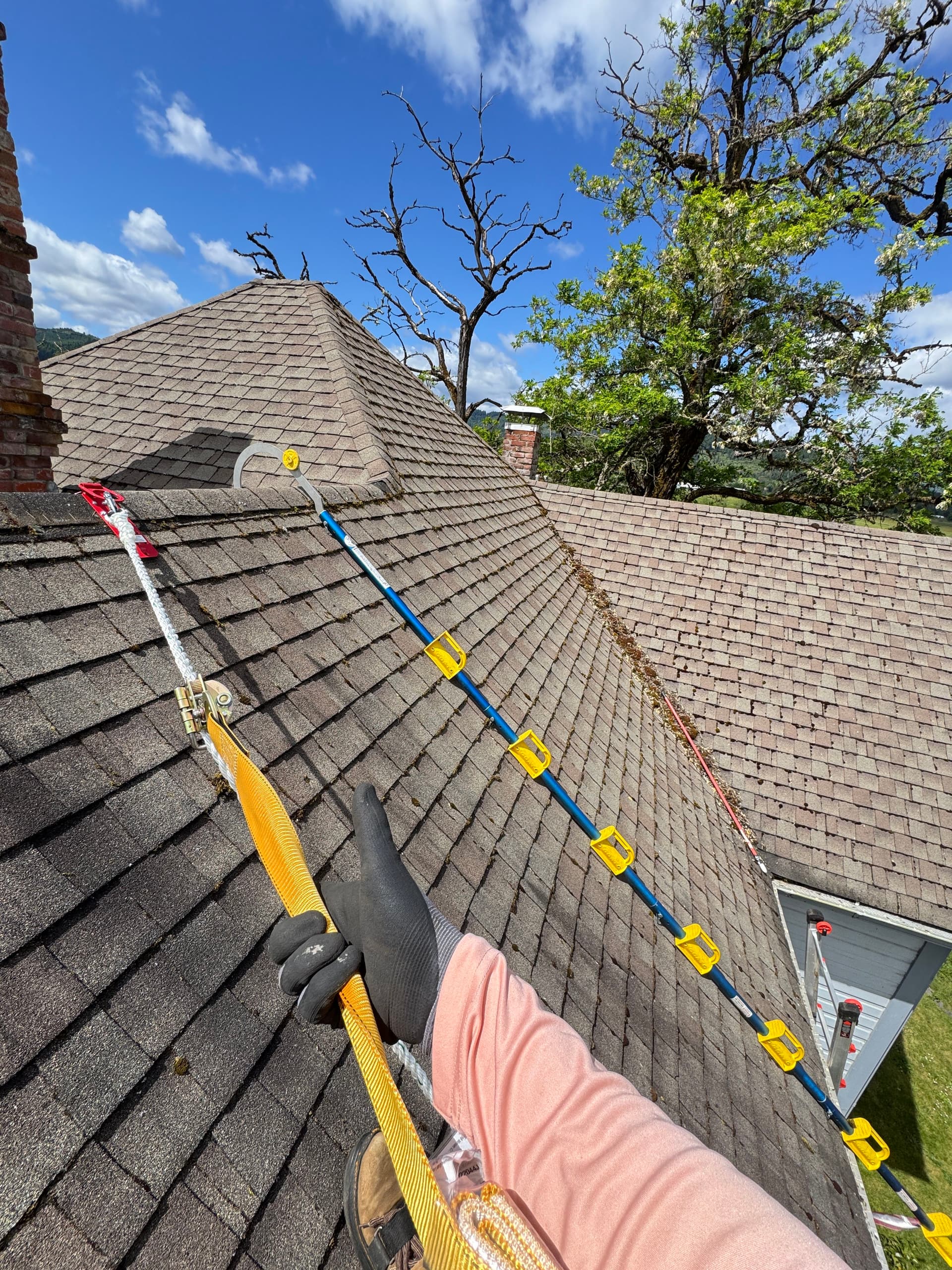 Gallery photos for Moss Removal on a Steep 2-Story Home That Had Been on My Radar: Image #4