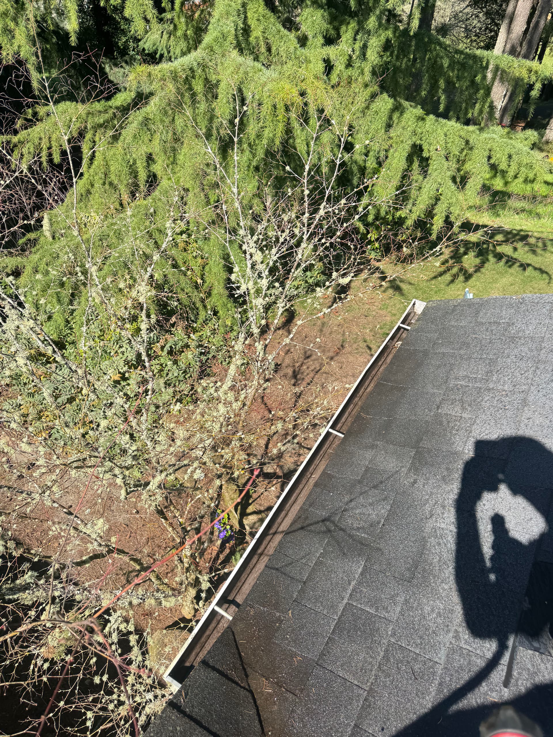 Gallery photos for Roof and Gutter Maintenance in a Scenic Setting: Image #7