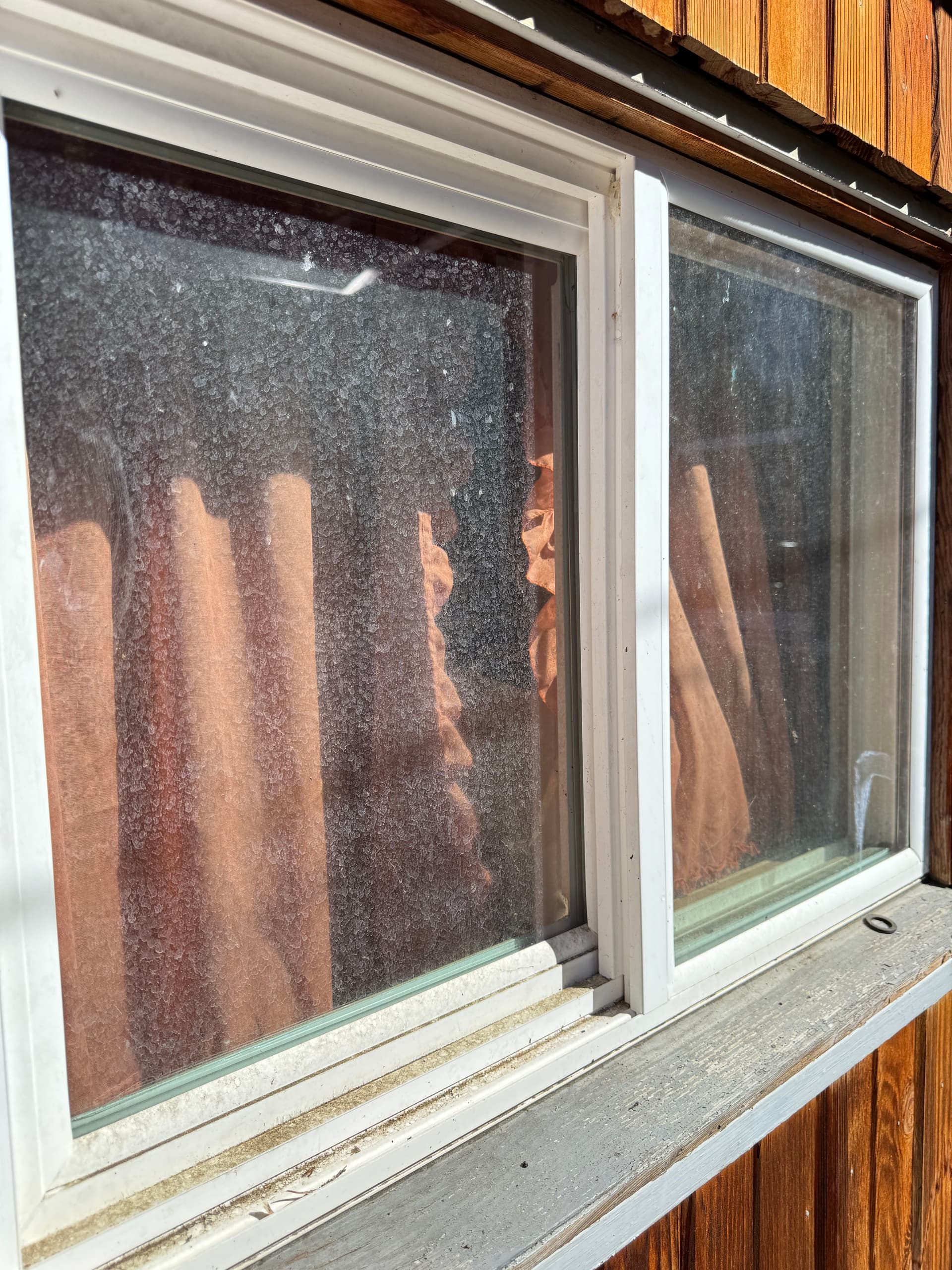 Gallery photos for Full-Service Property Cleanup with Roof and Window Care: Image #3