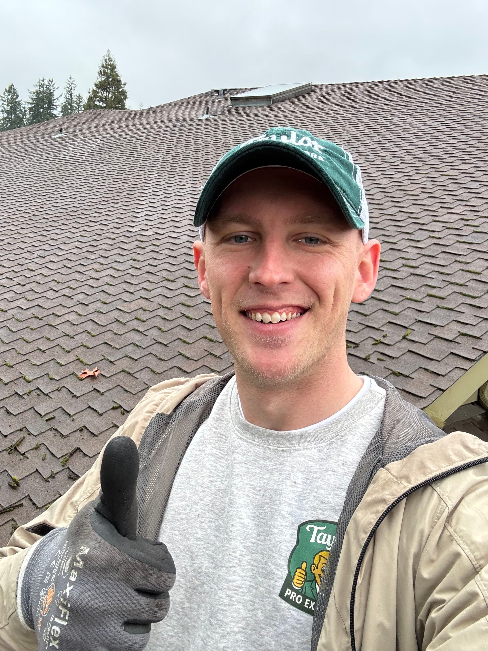 Professional Roof Moss and Gutter Cleaning Service image