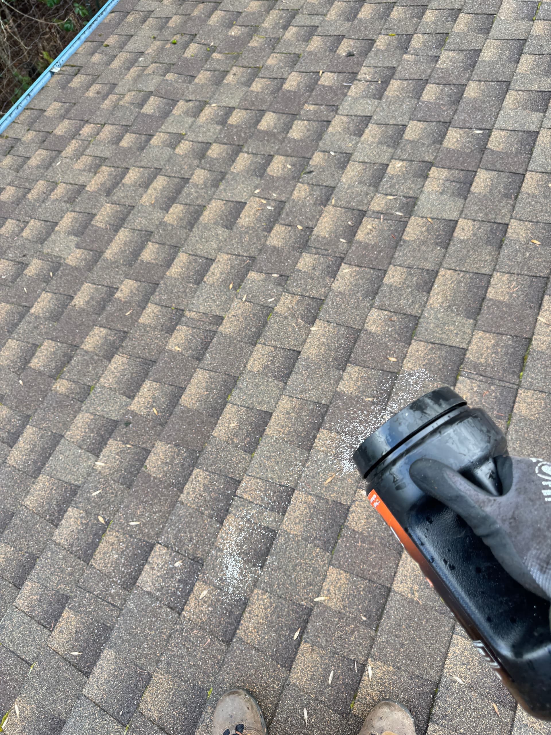 Gallery photos for Comprehensive Roof and Gutter Cleanup: Image #6