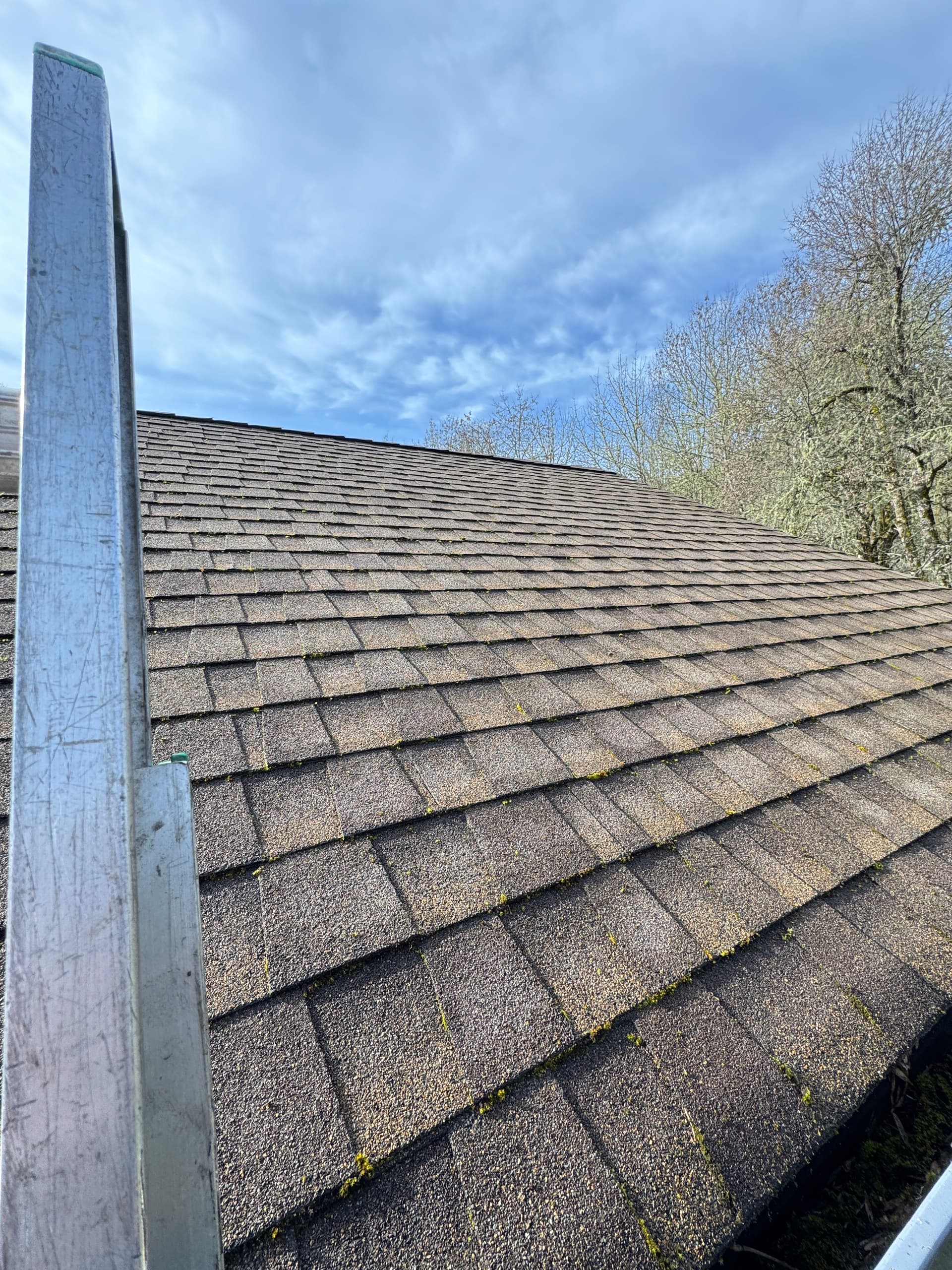 Gallery photos for Moss-Free Roof Achieved with Taylor Pro Exteriors: Image #3