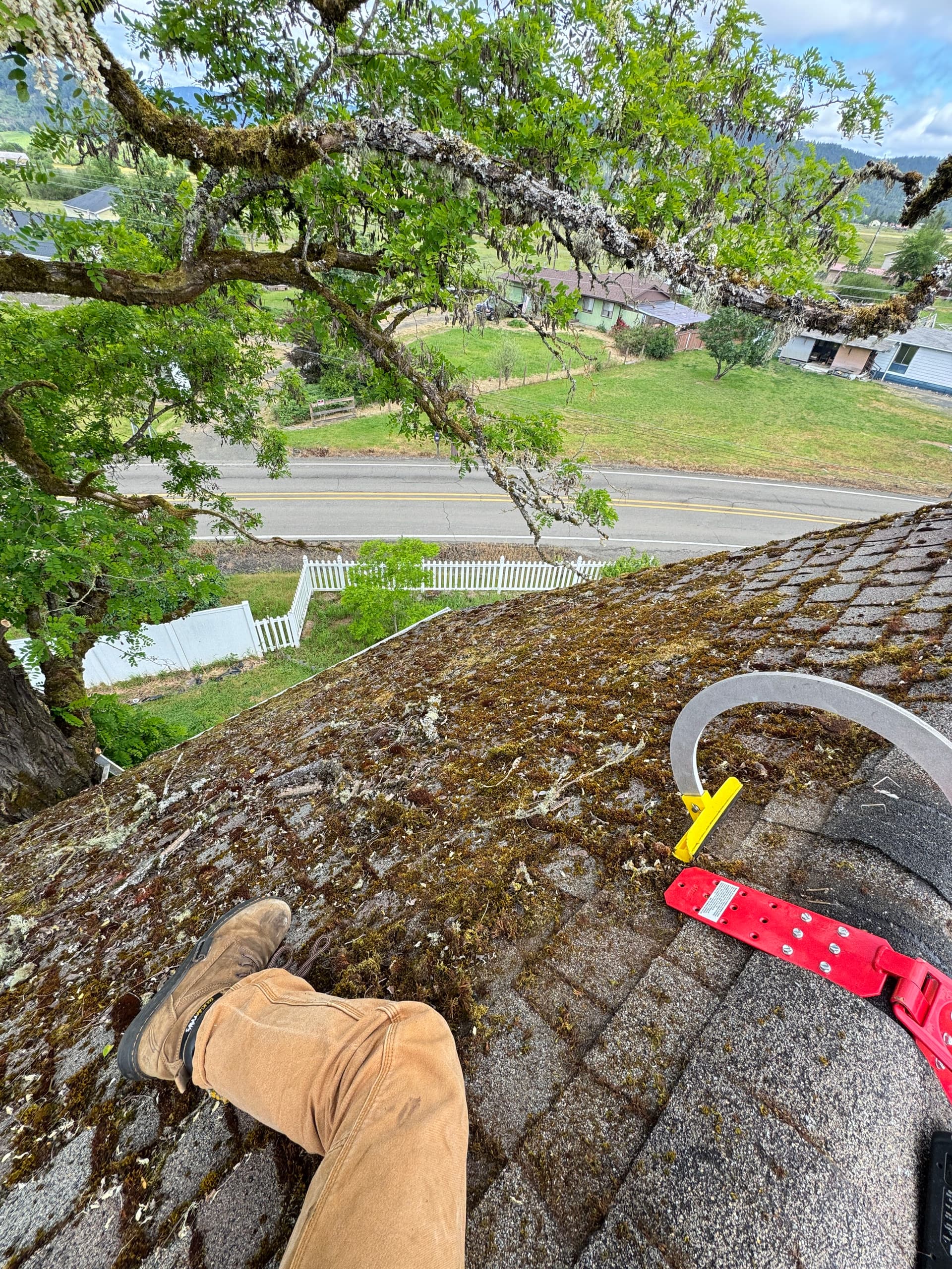 Gallery photos for Moss Removal on a Steep 2-Story Home That Had Been on My Radar: Image #2
