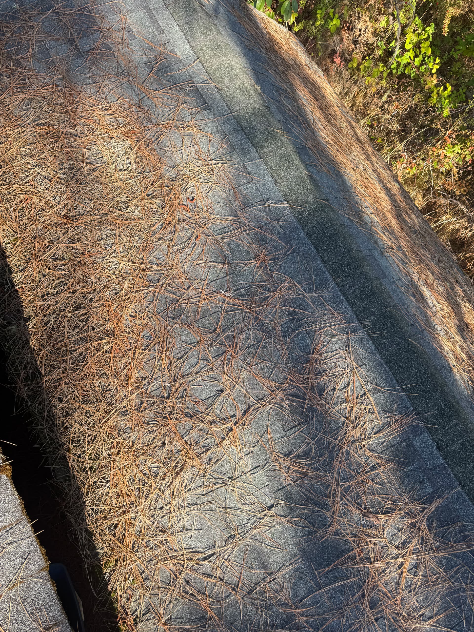 Gallery photos for Roof Cleaning and Permanent LED Install Done Right: Image #9