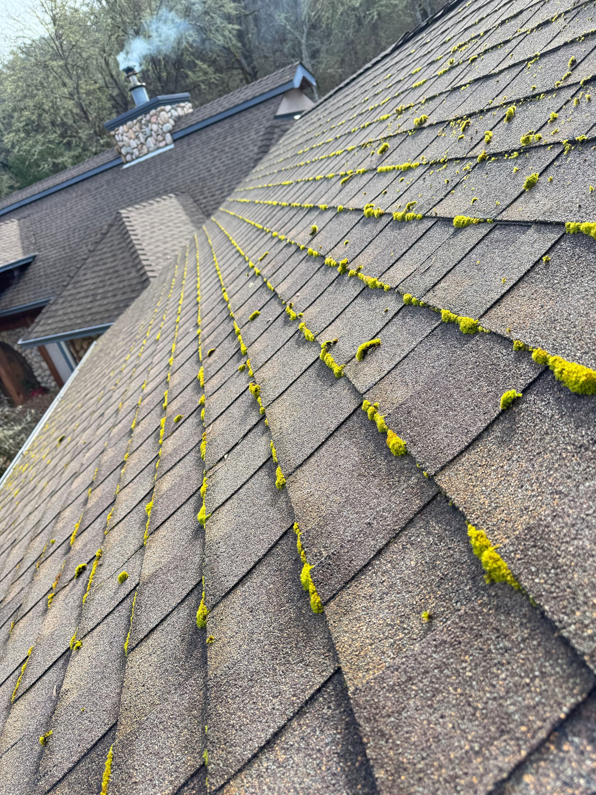 Gallery photos for Moss-Free Roof Achieved with Taylor Pro Exteriors: Image #4