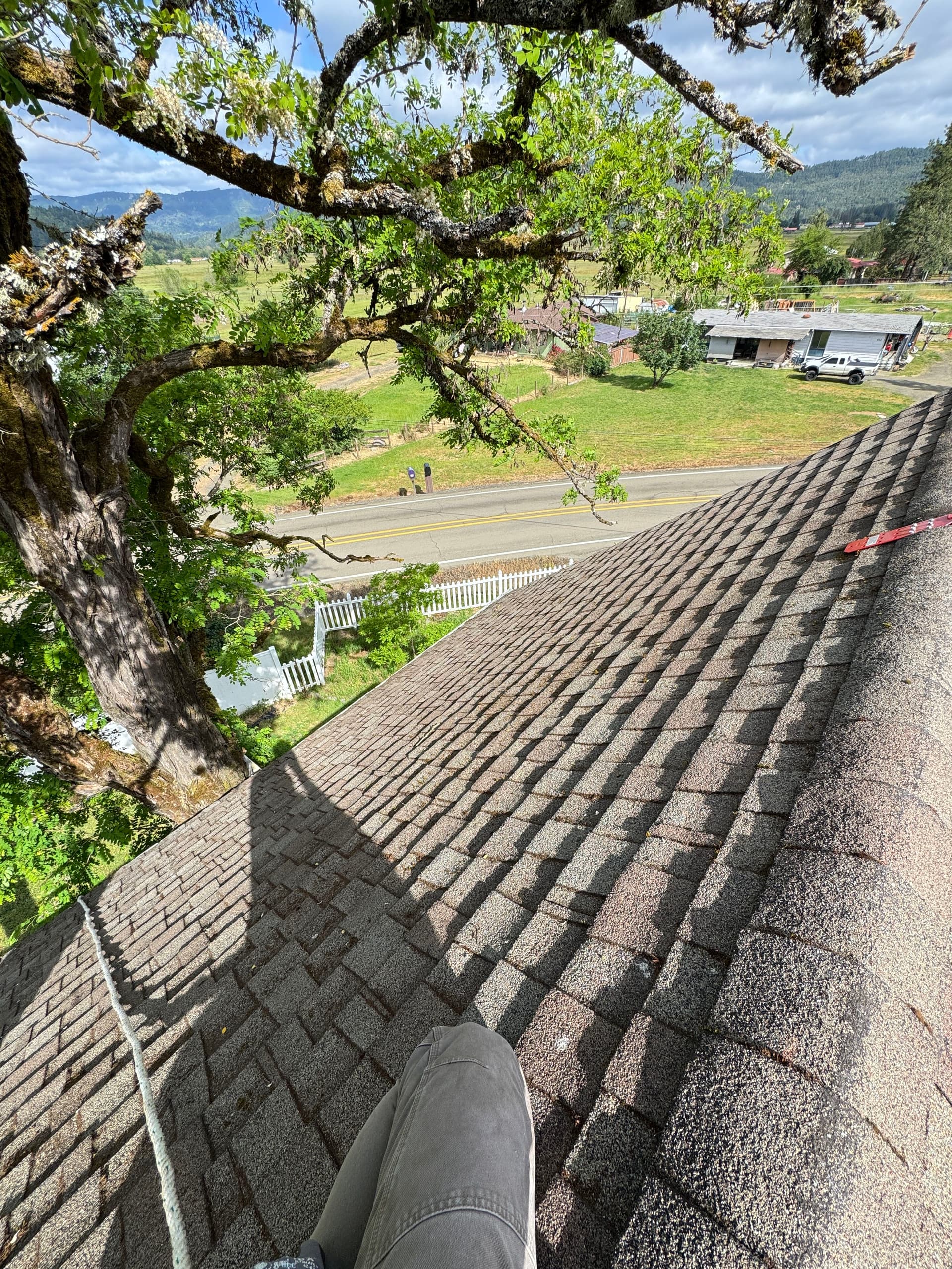 Gallery photos for Moss Removal on a Steep 2-Story Home That Had Been on My Radar: Image #6
