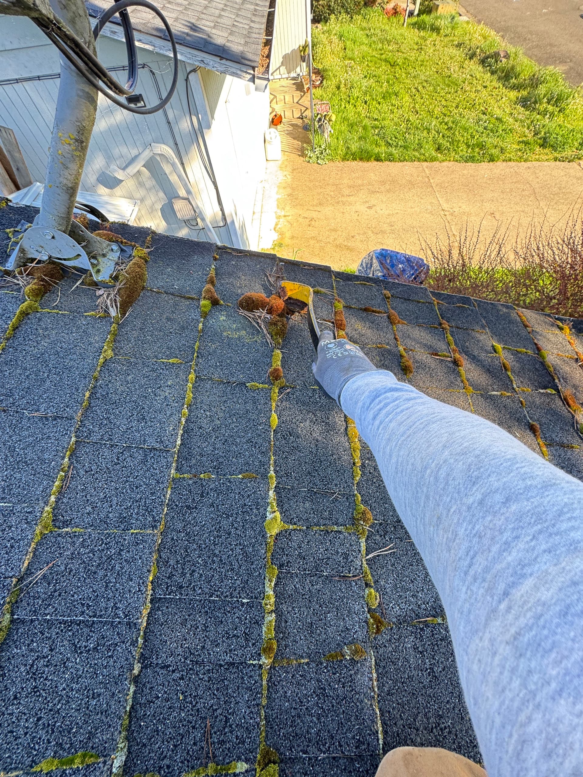 Gallery photos for Roof Moss Removal and Gutter Cleaning Excellence: Image #3