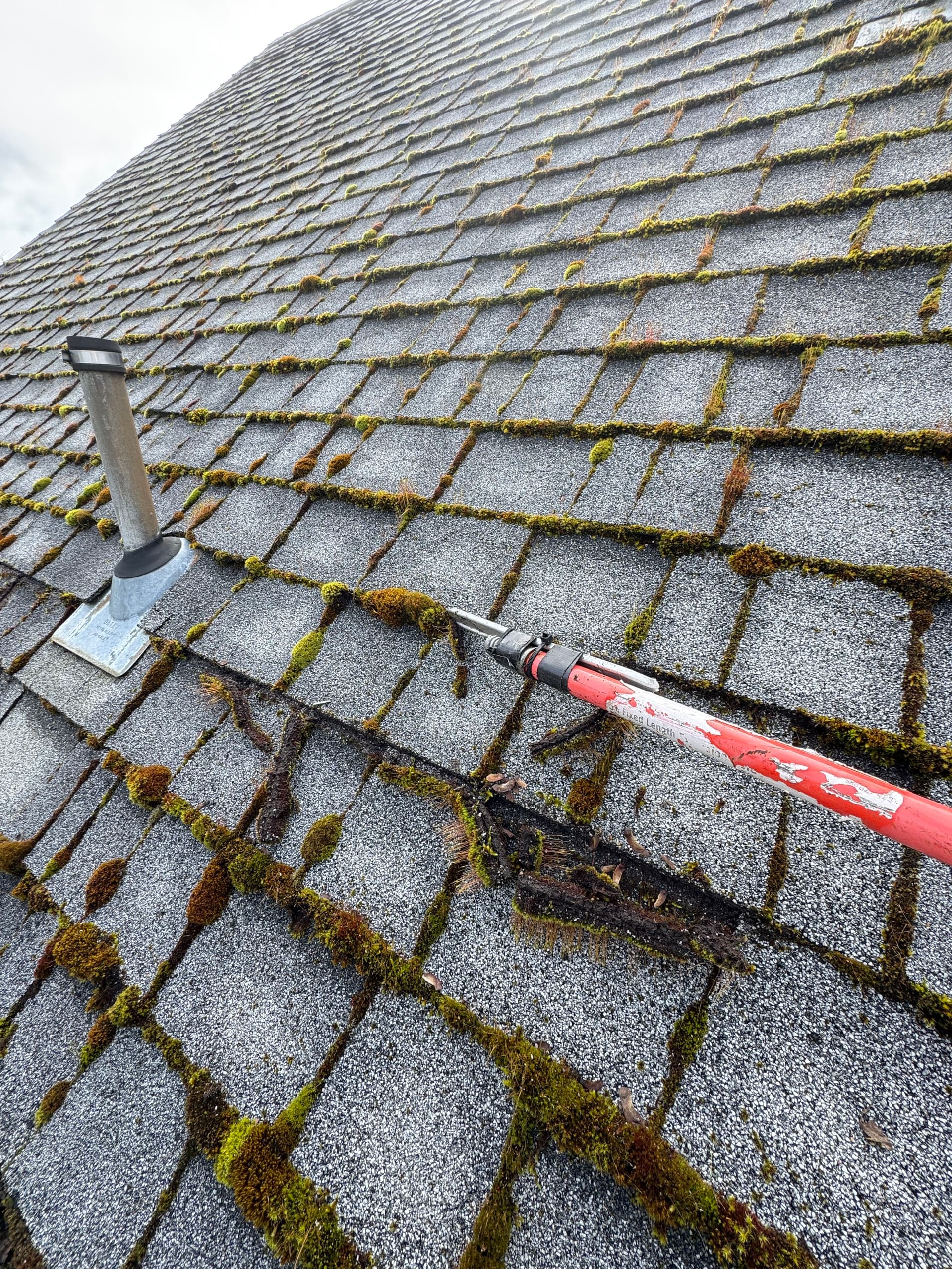 Gallery photos for Roof Moss Removal and Gutter Cleaning on a Steep Roof: Image #2