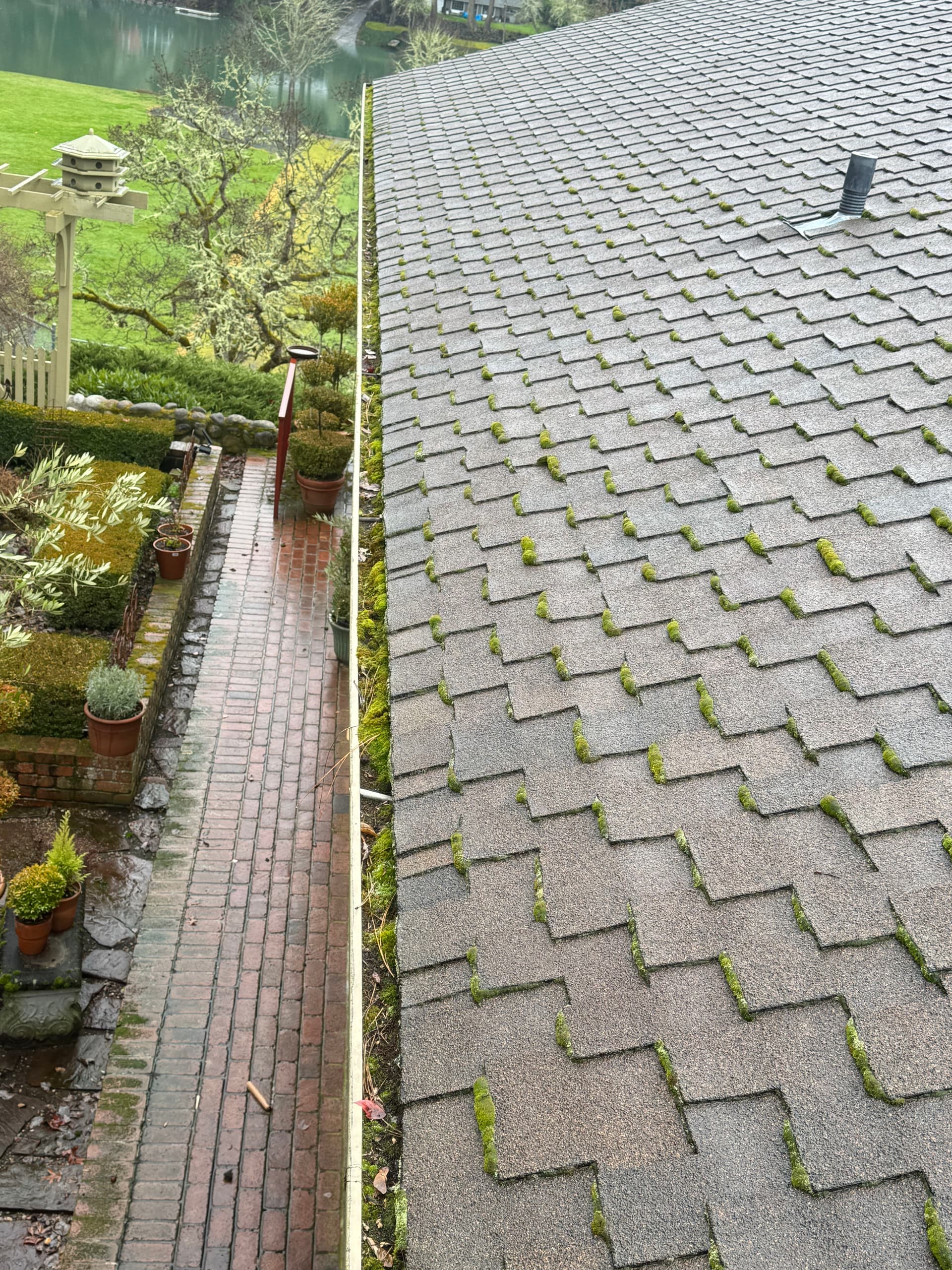 Gallery photos for Professional Roof Moss and Gutter Cleaning Service: Image #2