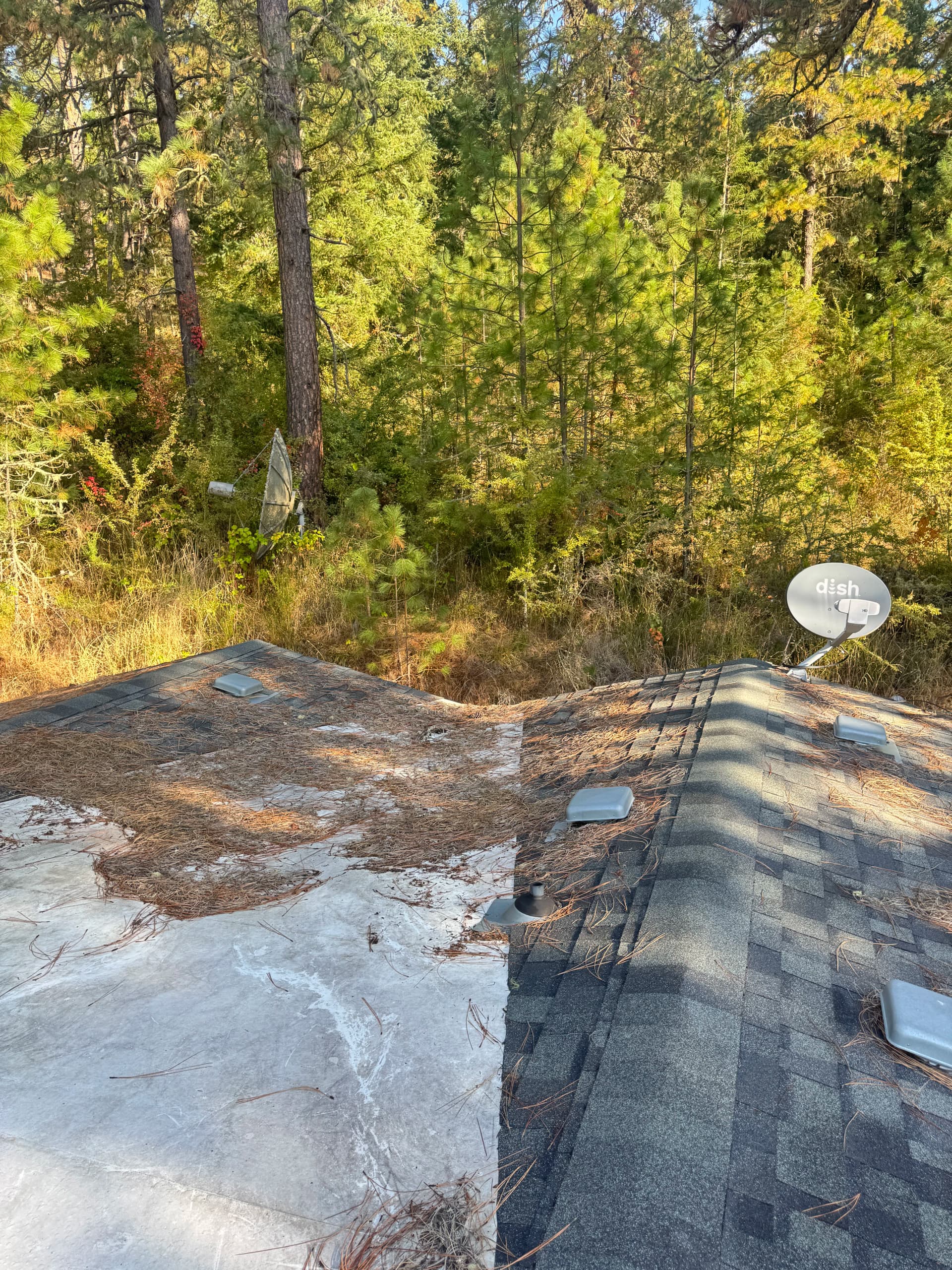 Gallery photos for Roof Cleaning and Permanent LED Install Done Right: Image #7