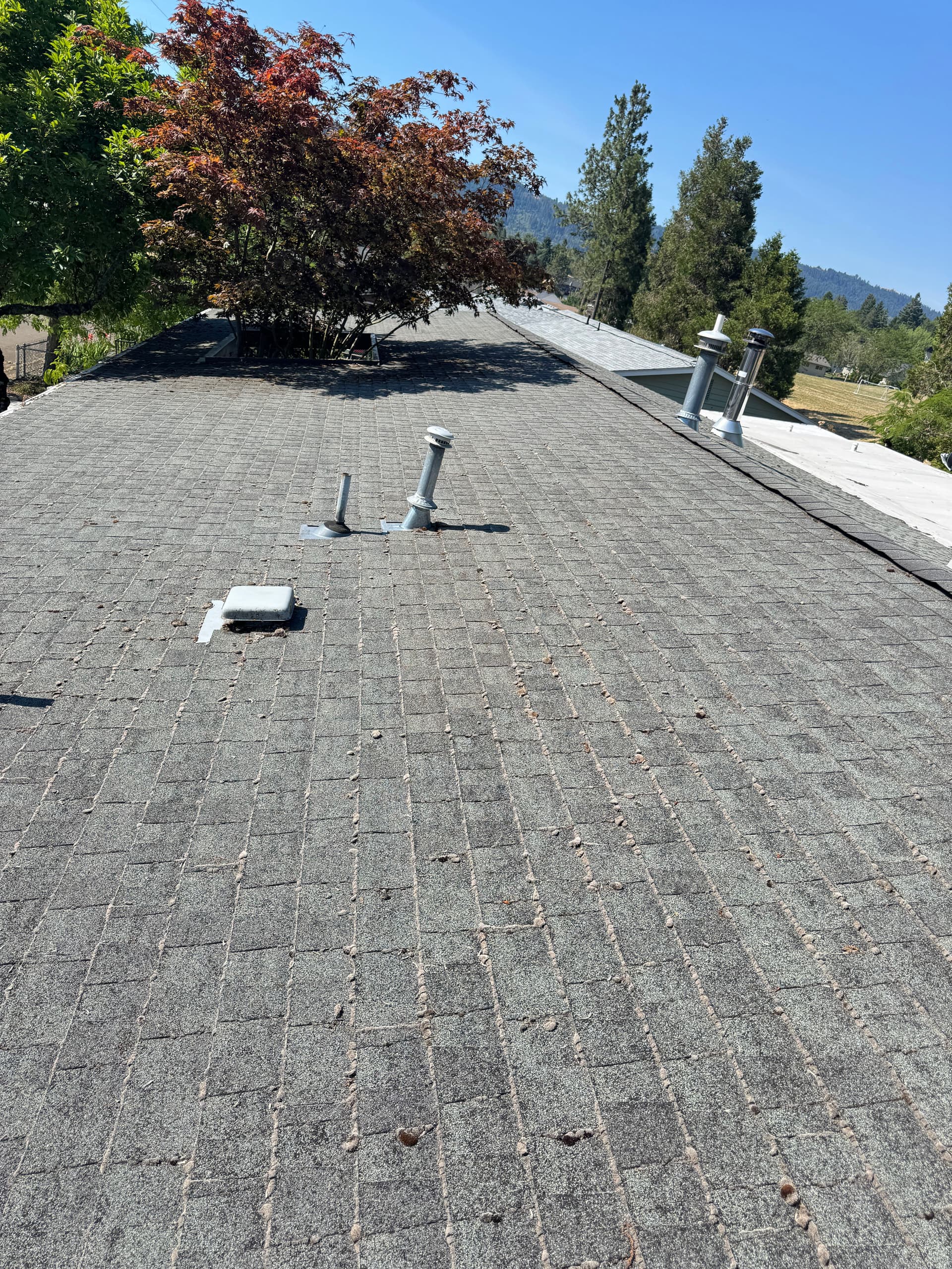 Gallery photos for Roof Moss Removal and Gutter Cleaning Done Right: Image #1