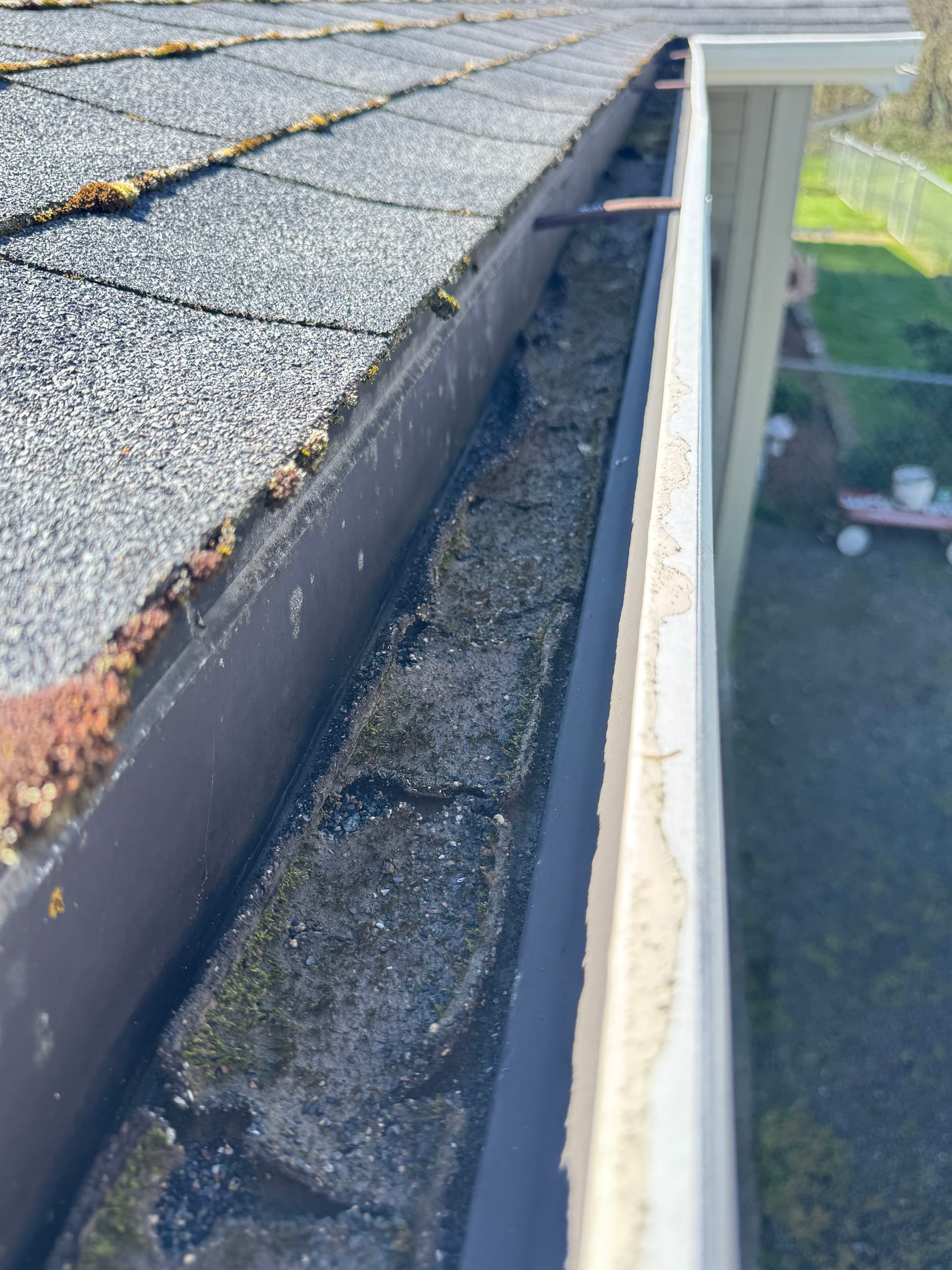 Gallery photos for Roof and Gutter Care: Tackling Moss and Debris: Image #2