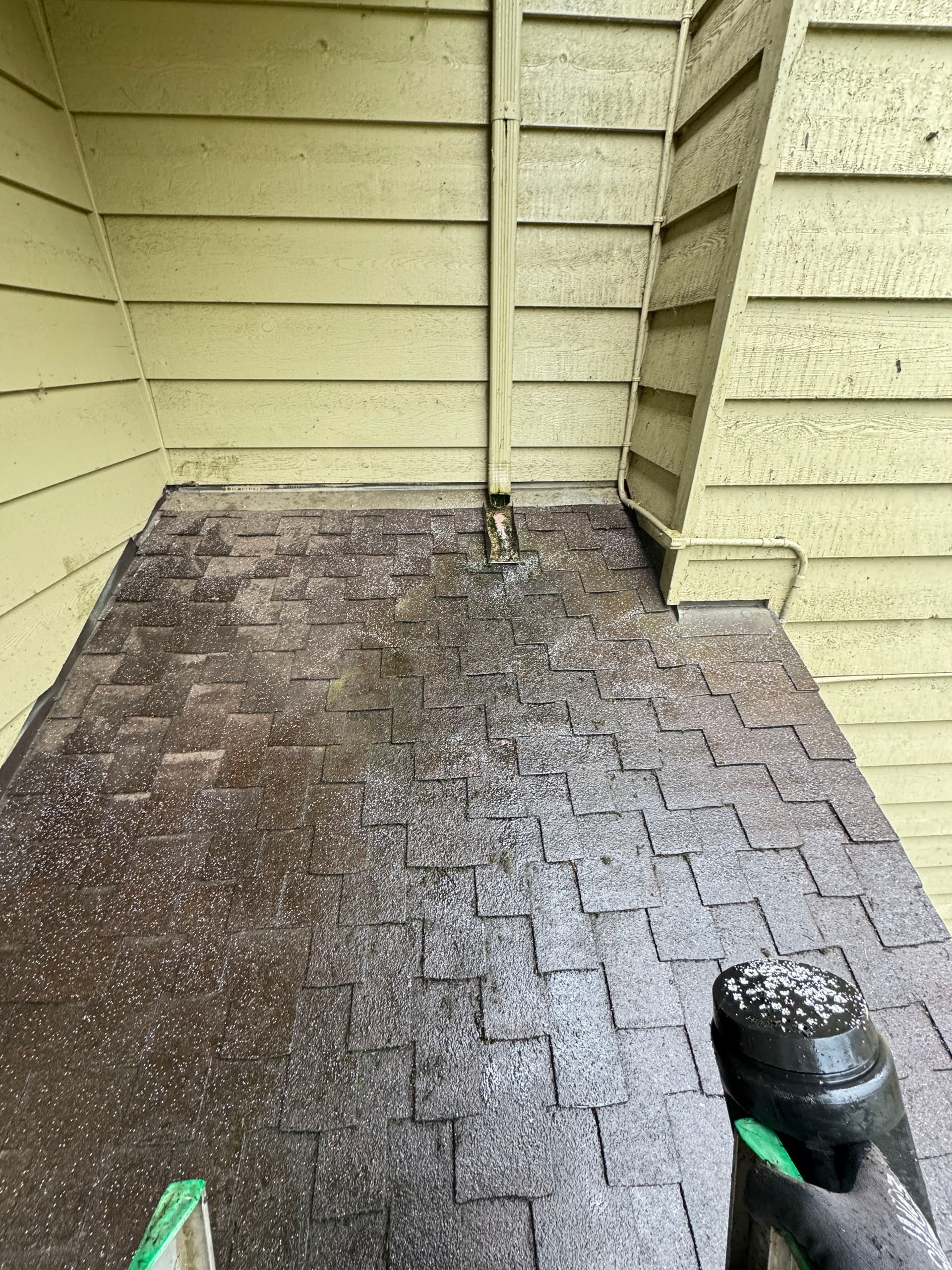 Gallery photos for Professional Roof Moss and Gutter Cleaning Service: Image #6