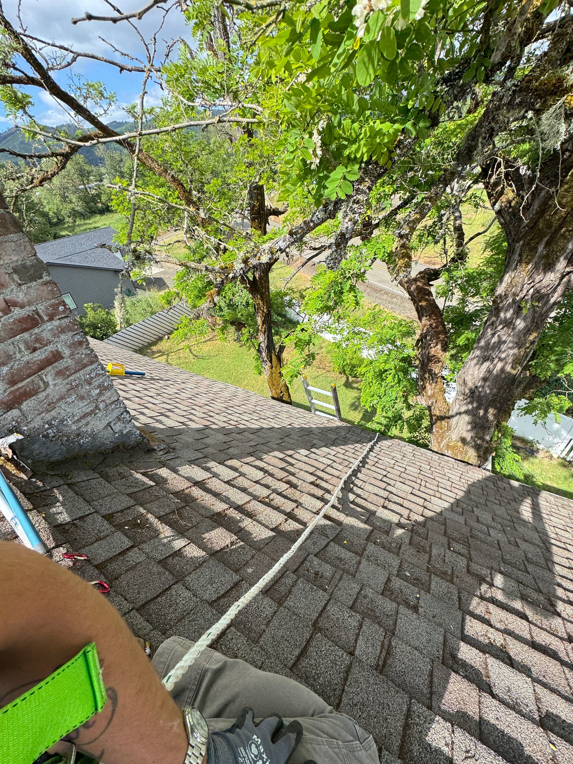 Gallery photos for Moss Removal on a Steep 2-Story Home That Had Been on My Radar: Image #7