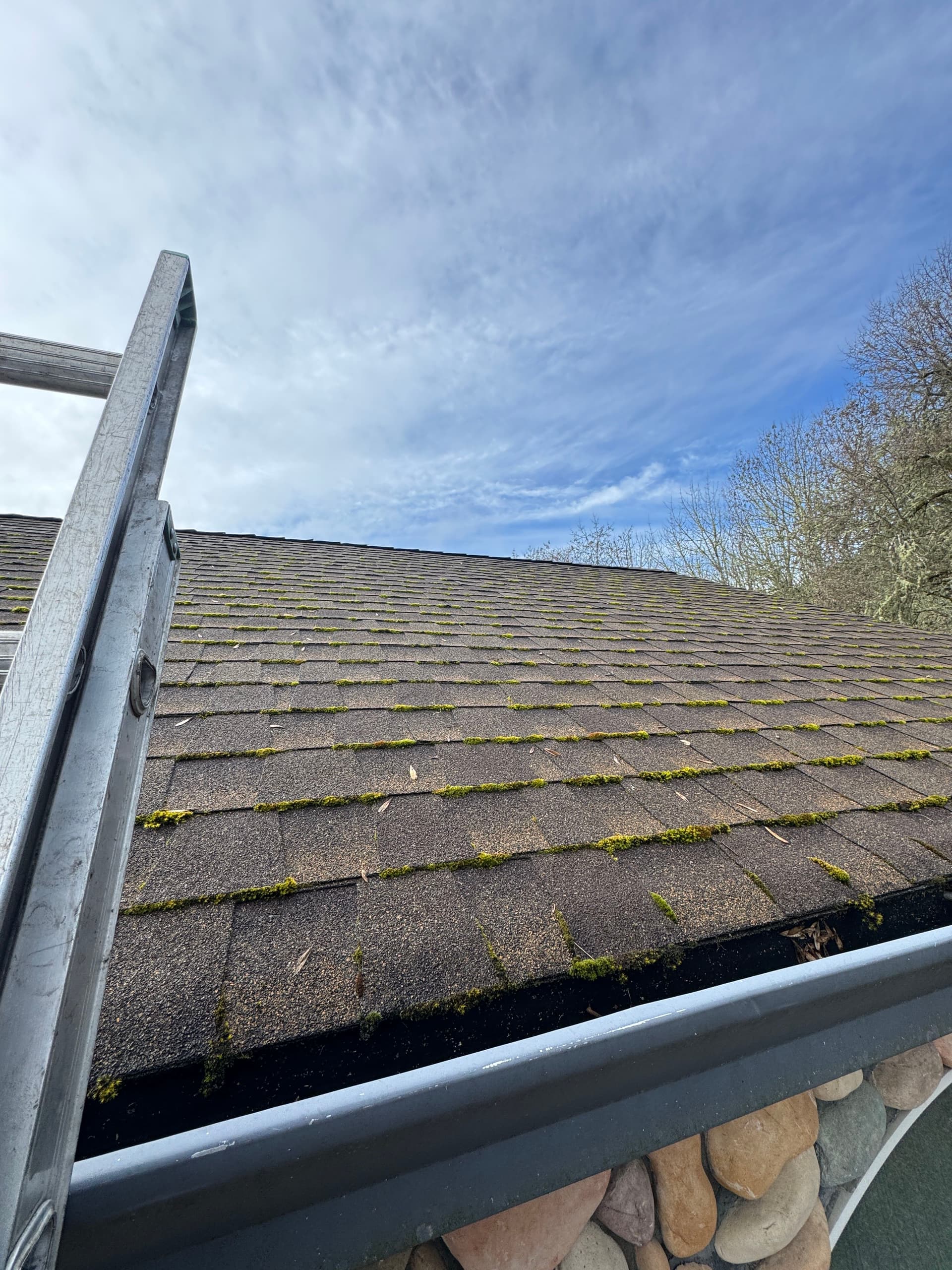Gallery photos for Moss-Free Roof Achieved with Taylor Pro Exteriors: Image #1