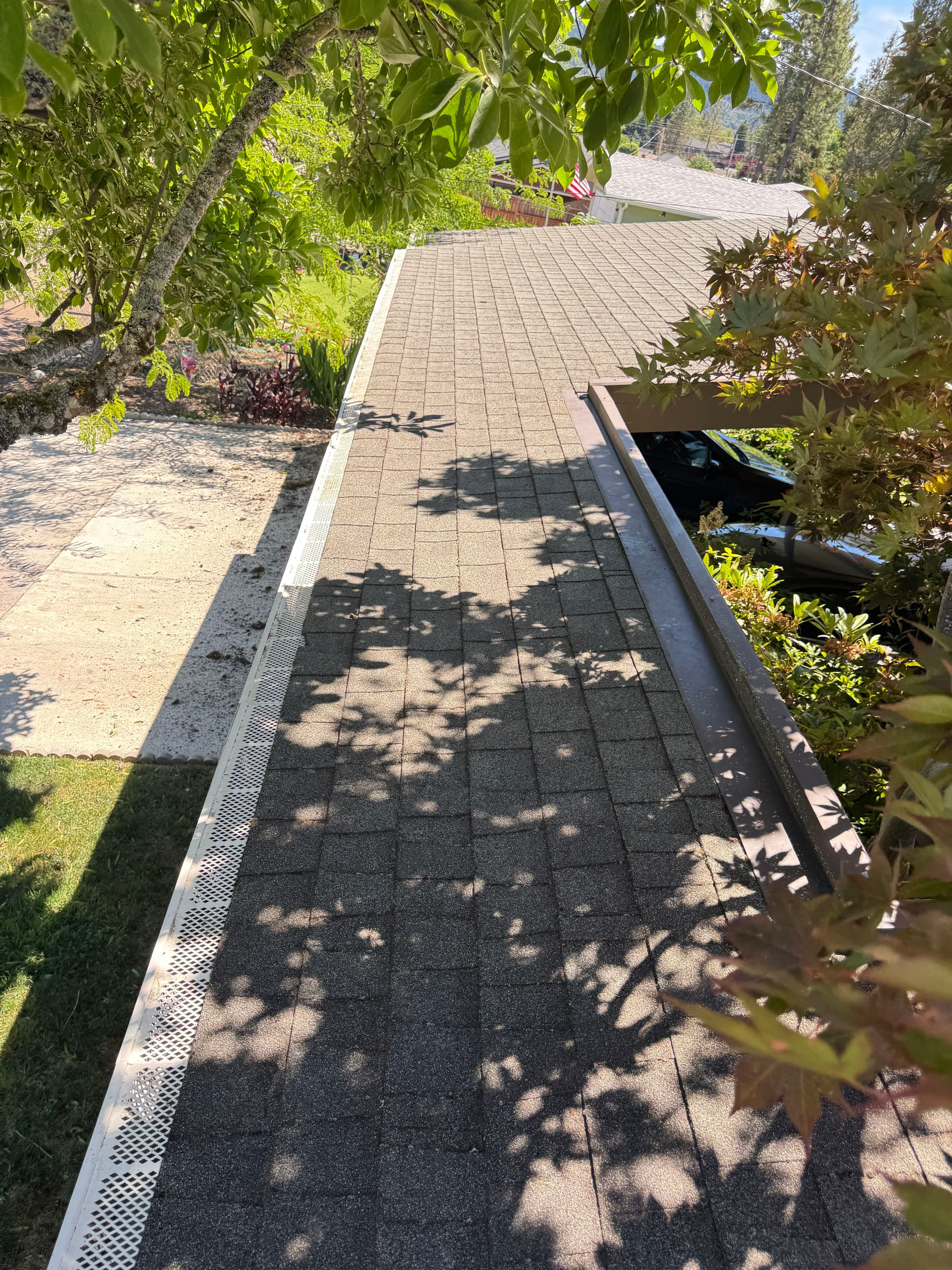 Gallery photos for Roof Moss Removal and Gutter Cleaning Done Right: Image #4