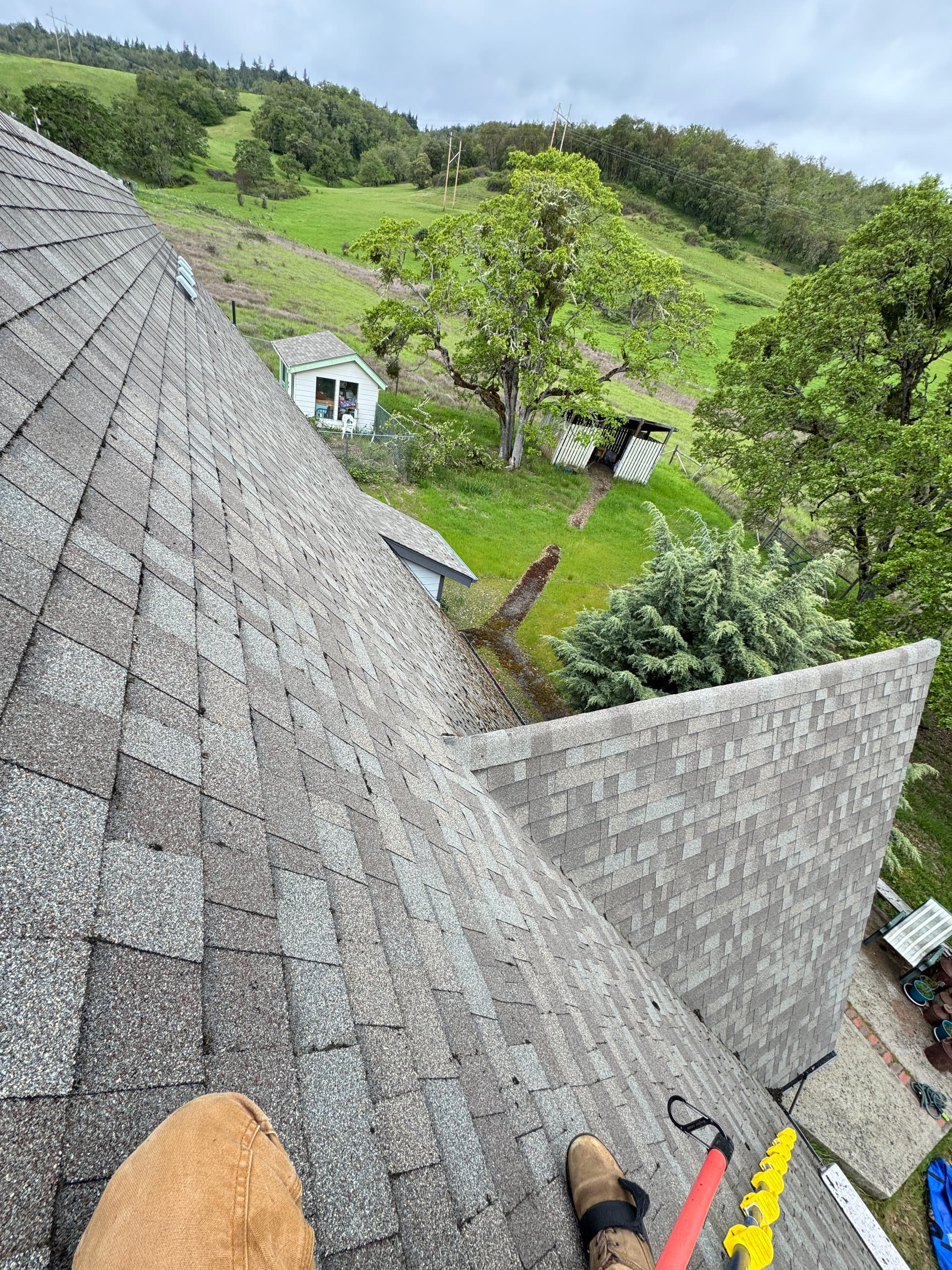 Gallery photos for Steep A-Frame Roof Moss Removal on a 12/12 Pitch: Image #7