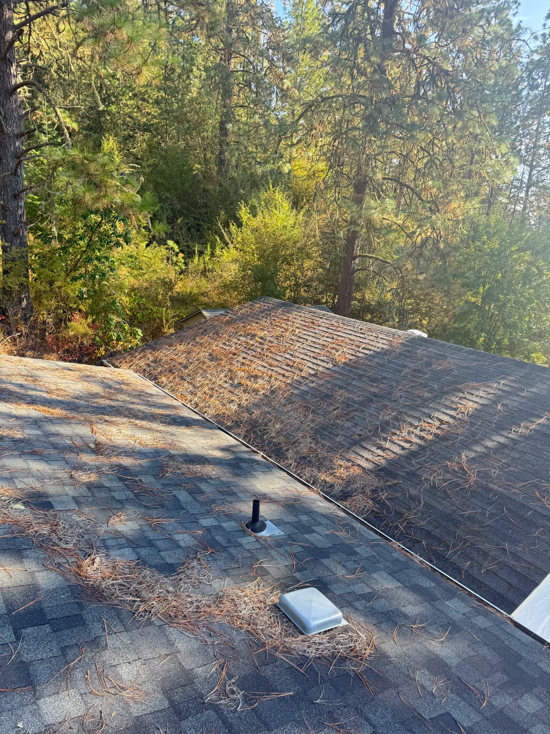 Gallery photos for Roof Cleaning and Permanent LED Install Done Right: Image #8