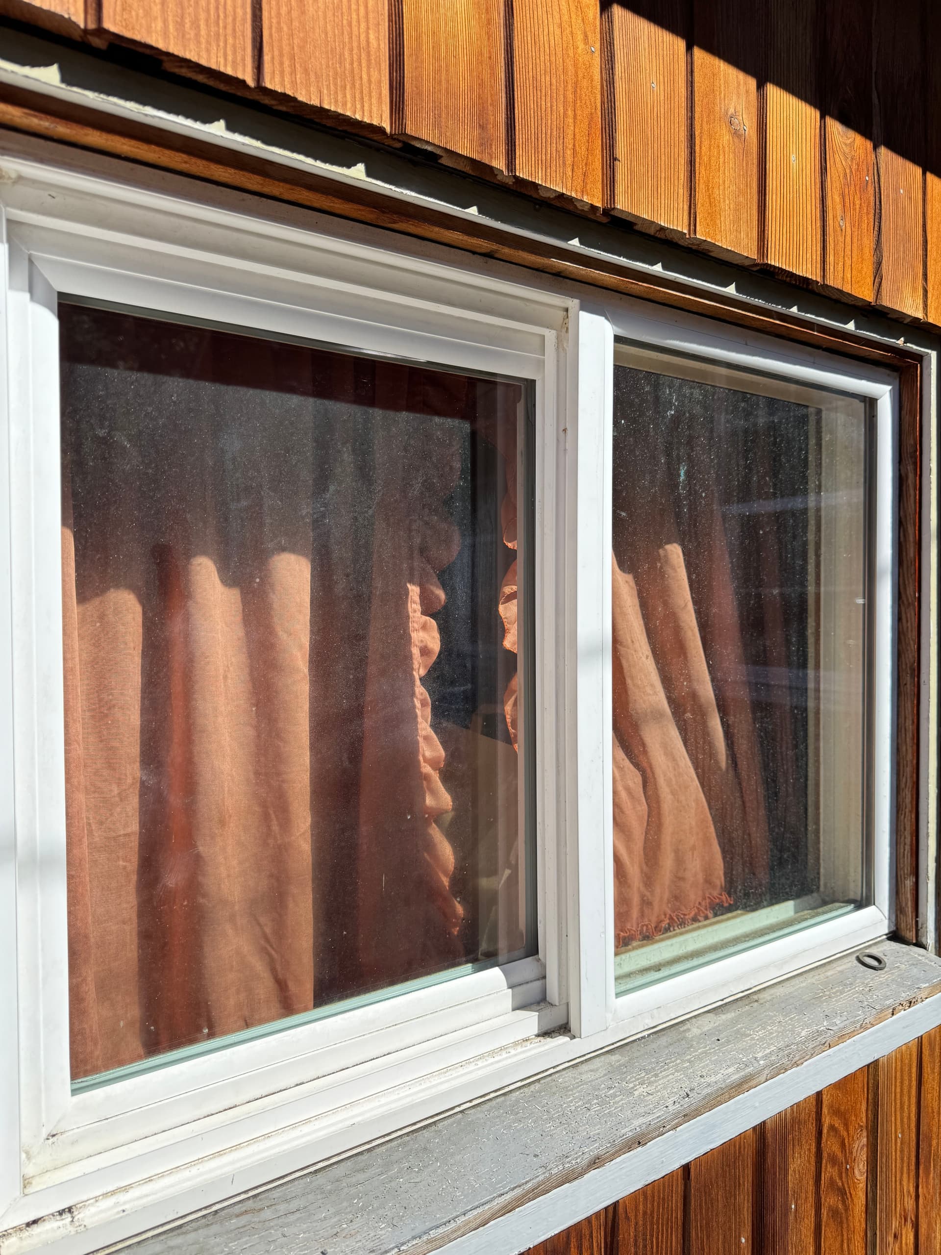 Gallery photos for Full-Service Property Cleanup with Roof and Window Care: Image #4