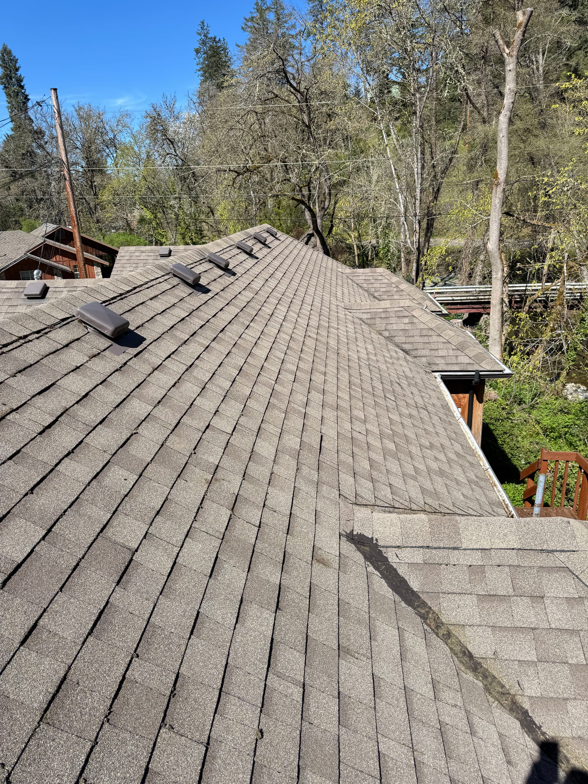 Gallery photos for Full-Service Property Cleanup with Roof and Window Care: Image #2