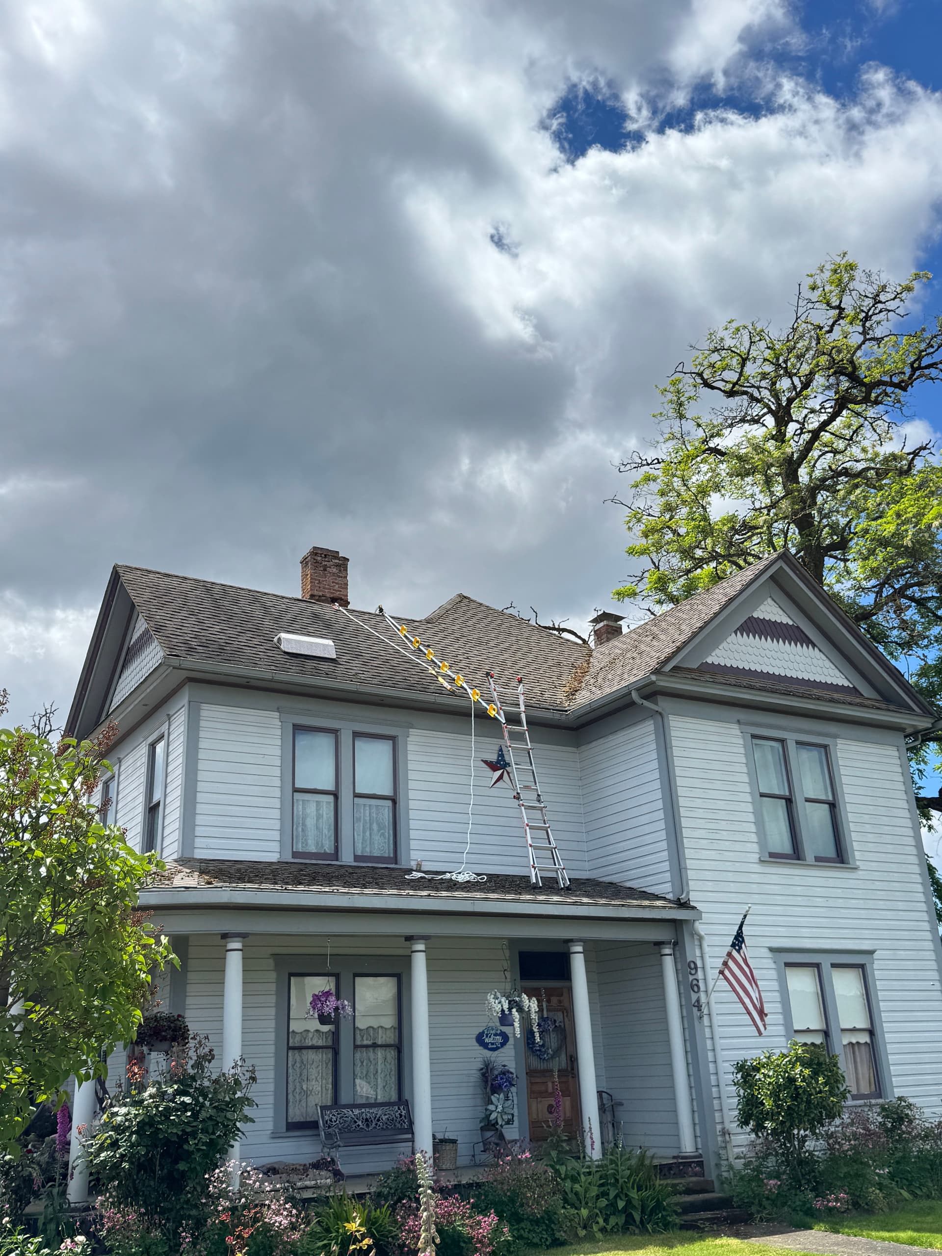 Moss Removal on a Steep 2-Story Home That Had Been on My Radar image