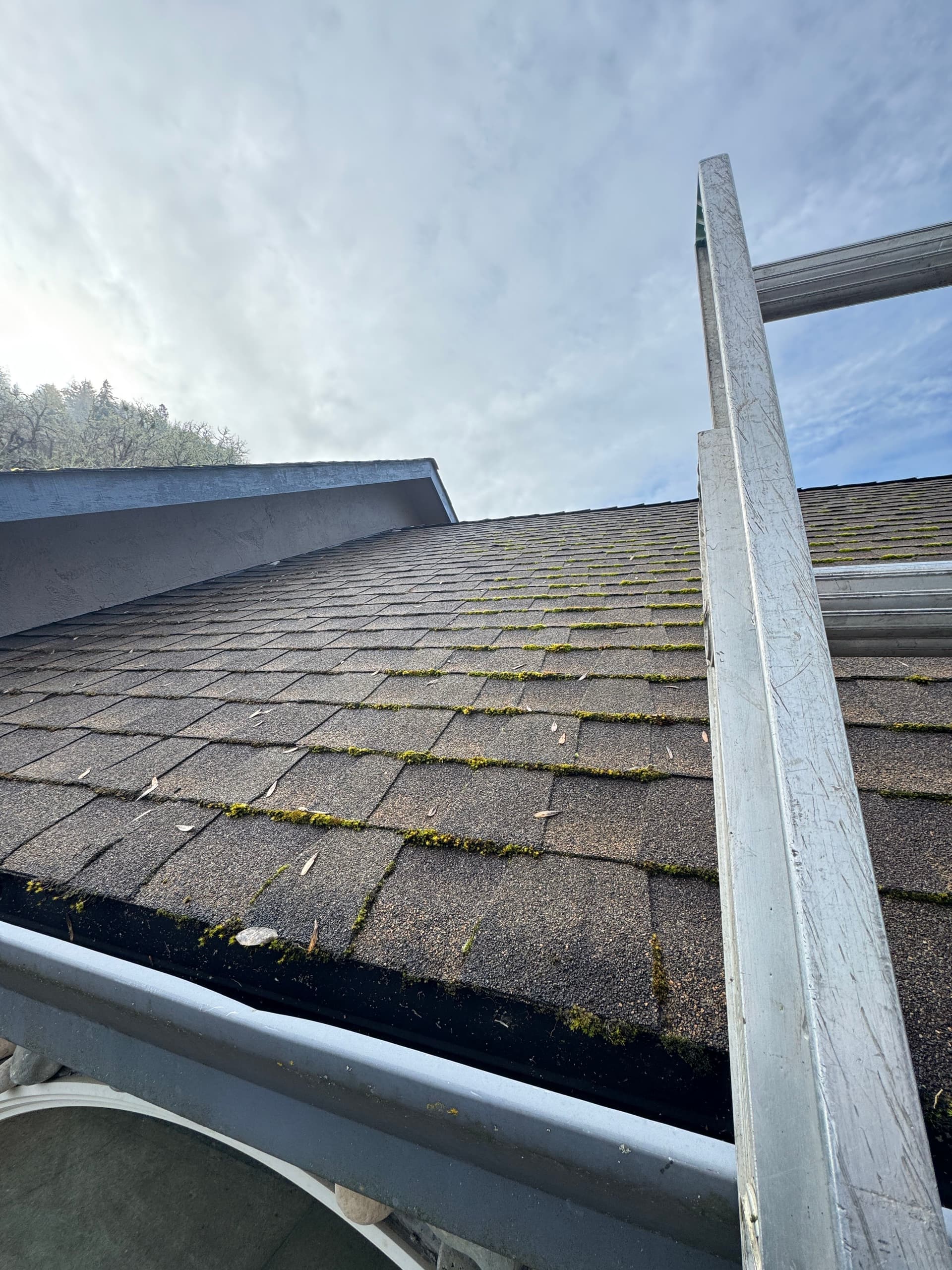 Gallery photos for Moss-Free Roof Achieved with Taylor Pro Exteriors: Image #2
