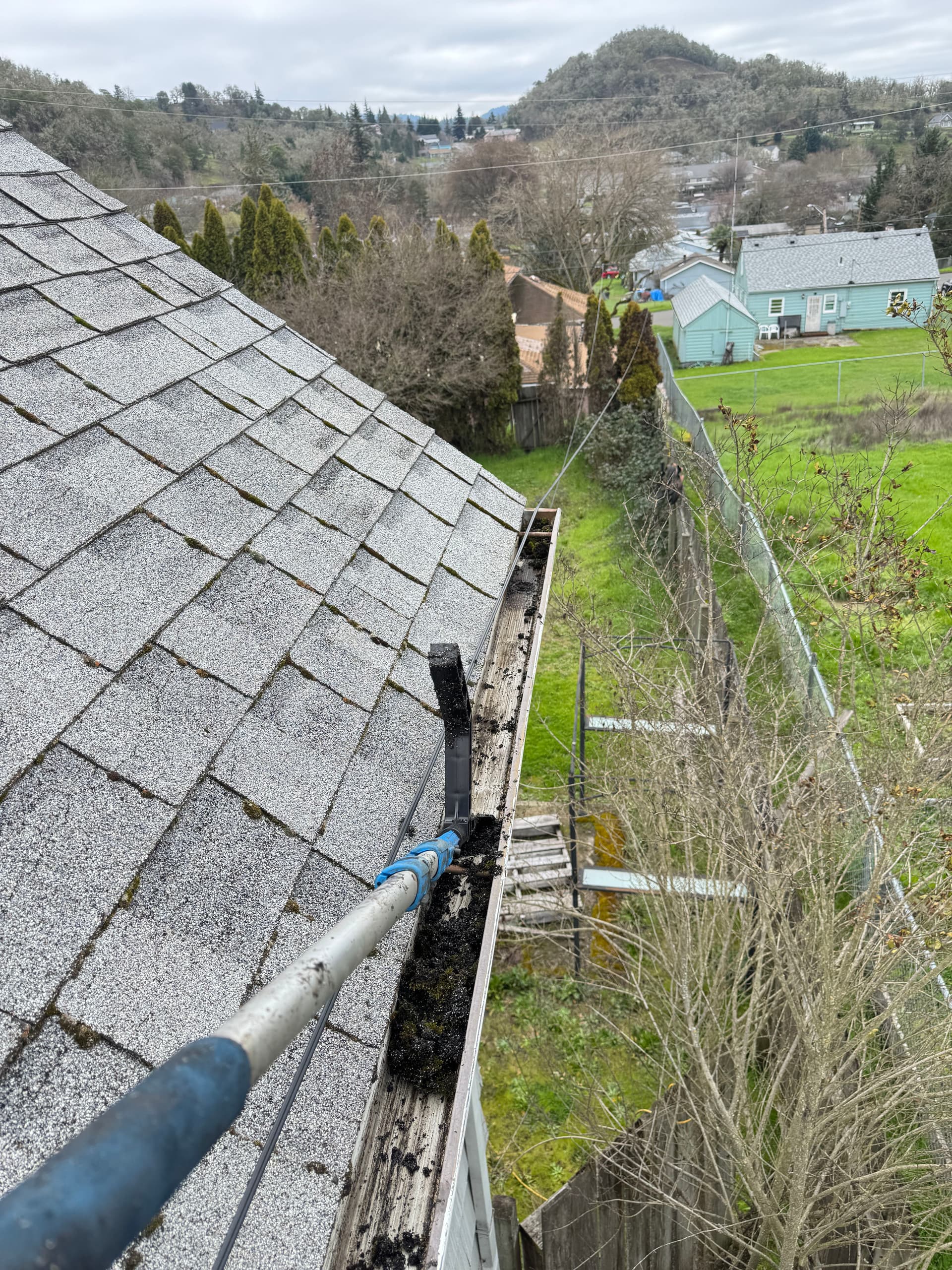 Gallery photos for Roof Moss Removal and Gutter Cleaning on a Steep Roof: Image #7