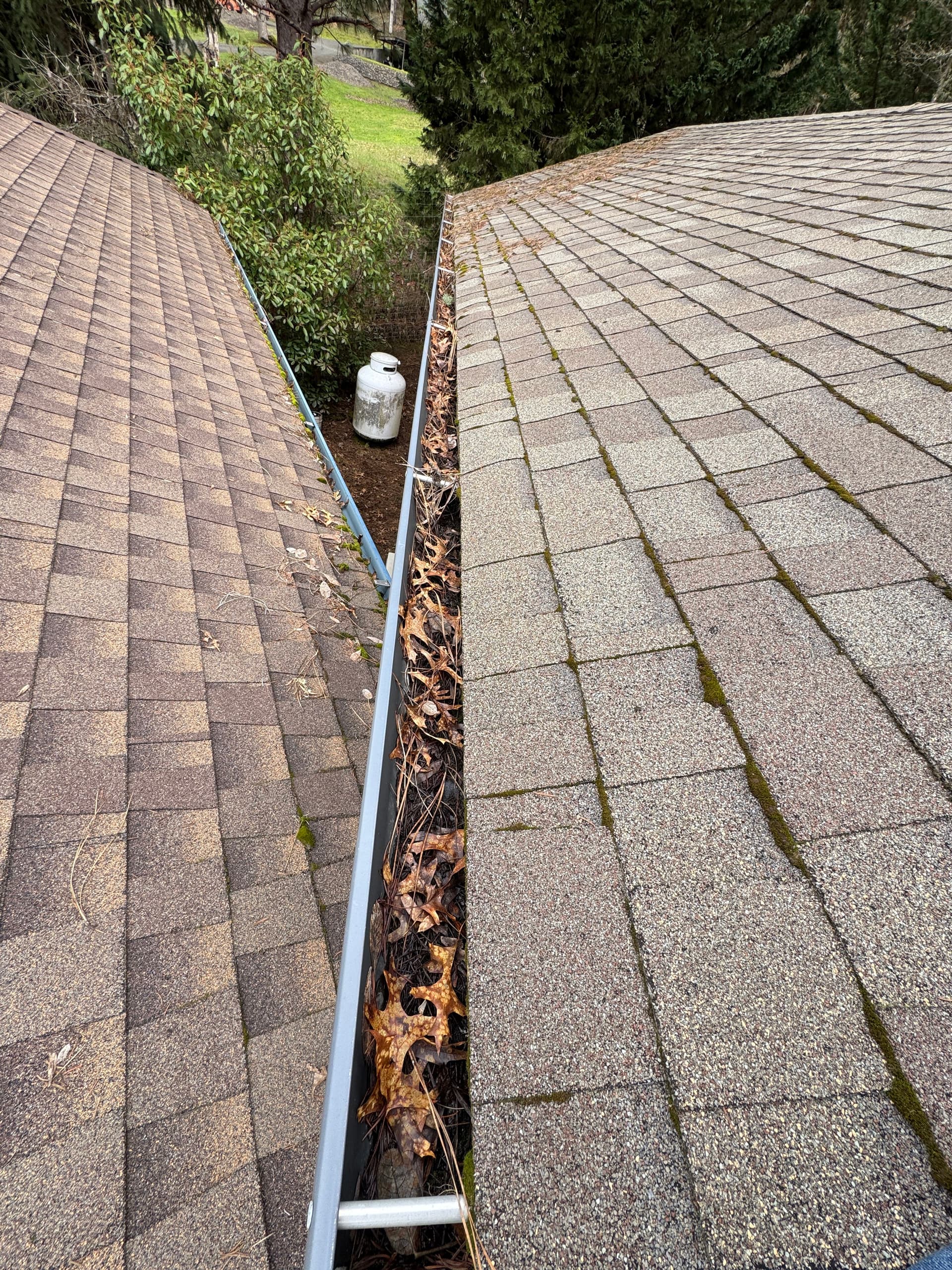 Gallery photos for Comprehensive Roof and Gutter Cleanup: Image #1