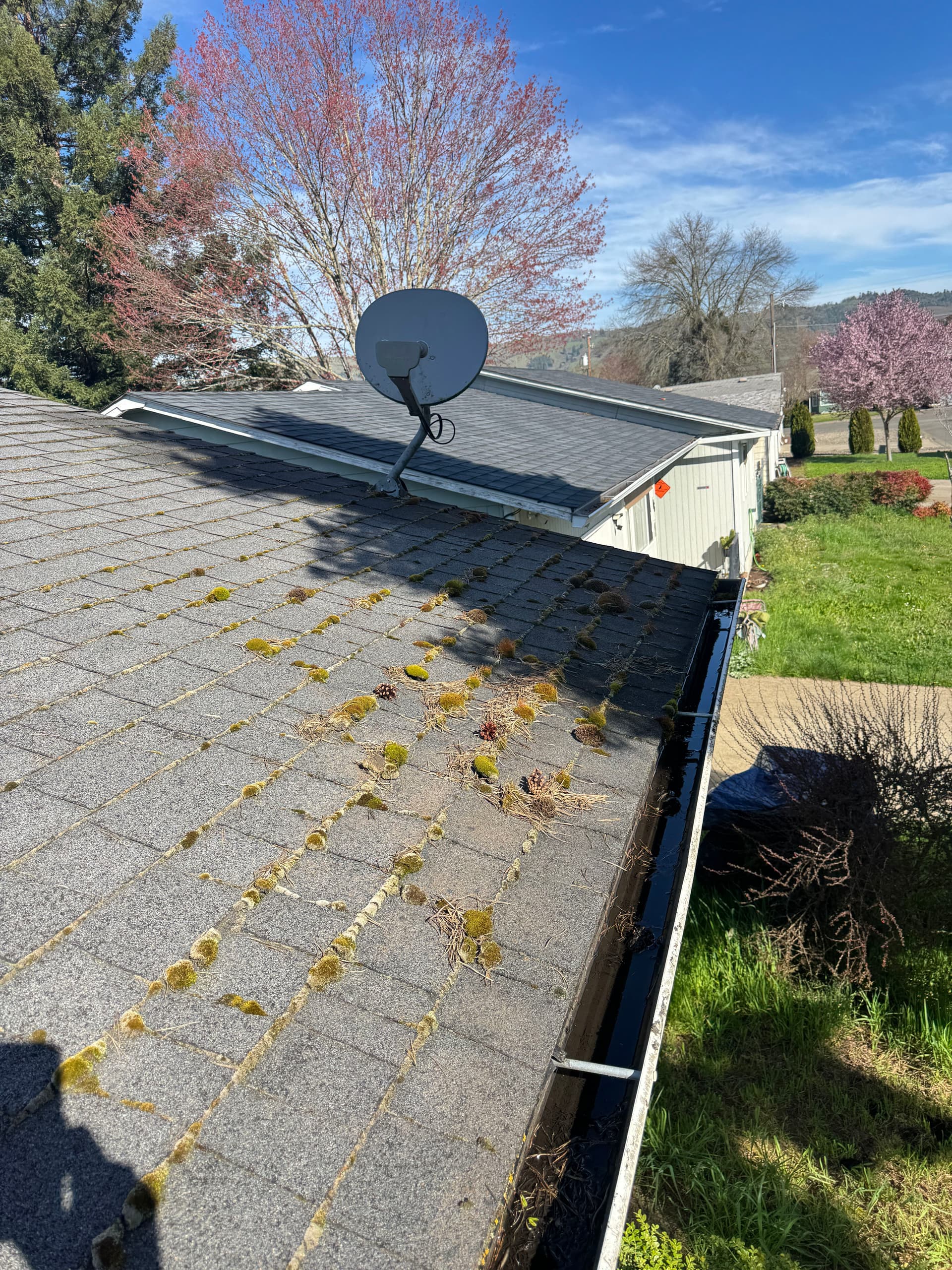 Gallery photos for Roof Moss Removal and Gutter Cleaning Excellence: Image #1