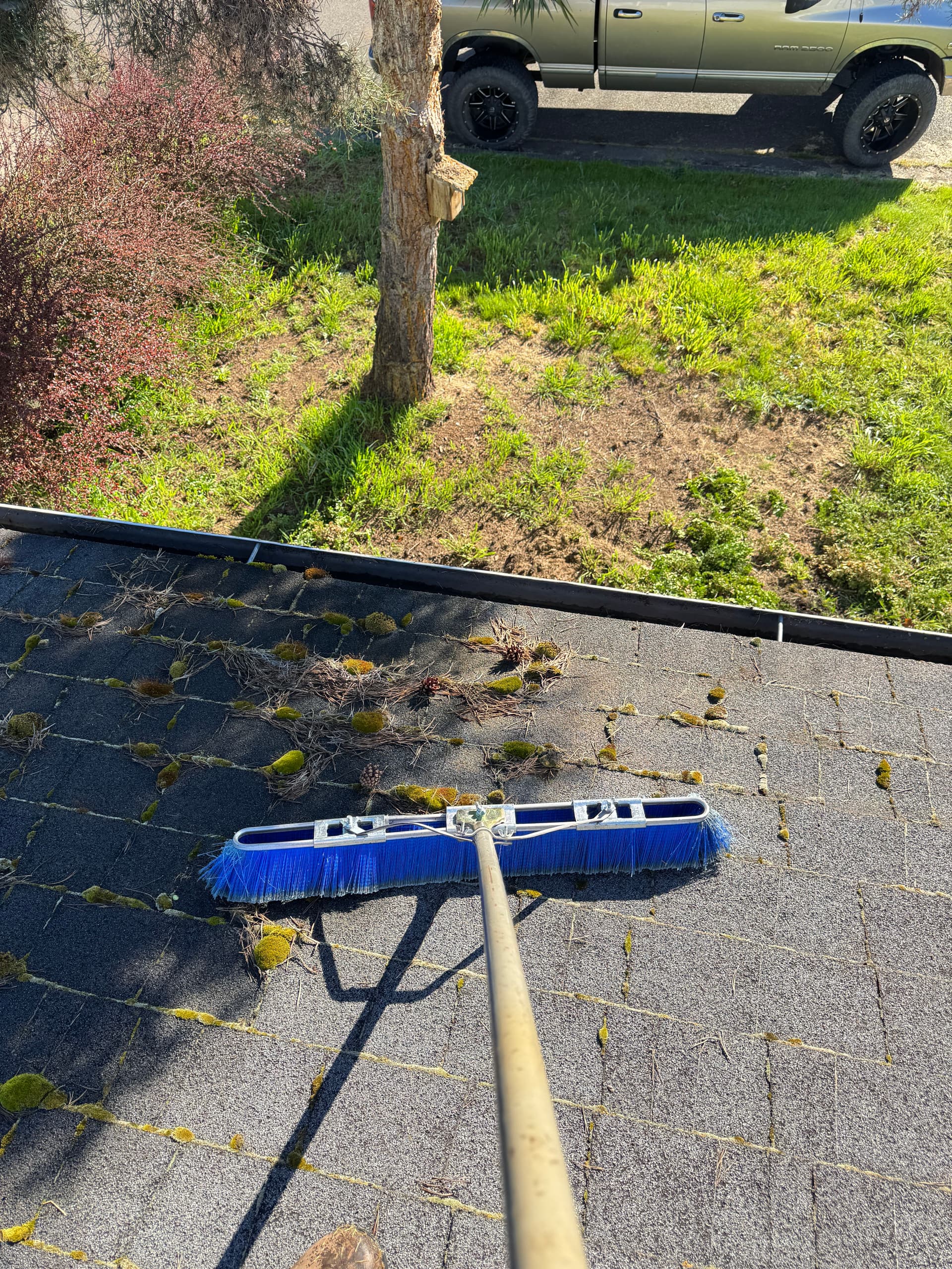 Gallery photos for Roof Moss Removal and Gutter Cleaning Excellence: Image #2