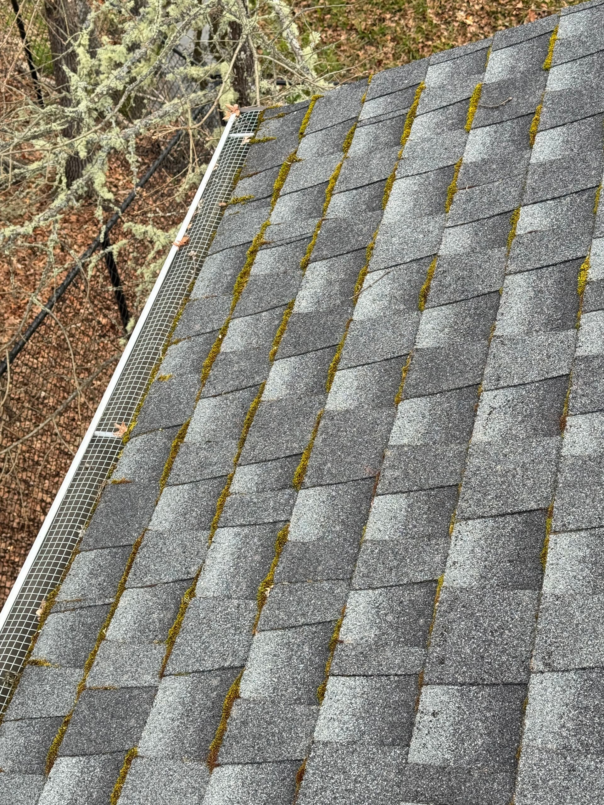 Gallery photos for Roof Restoration and Gutter Cleaning Success: Image #3
