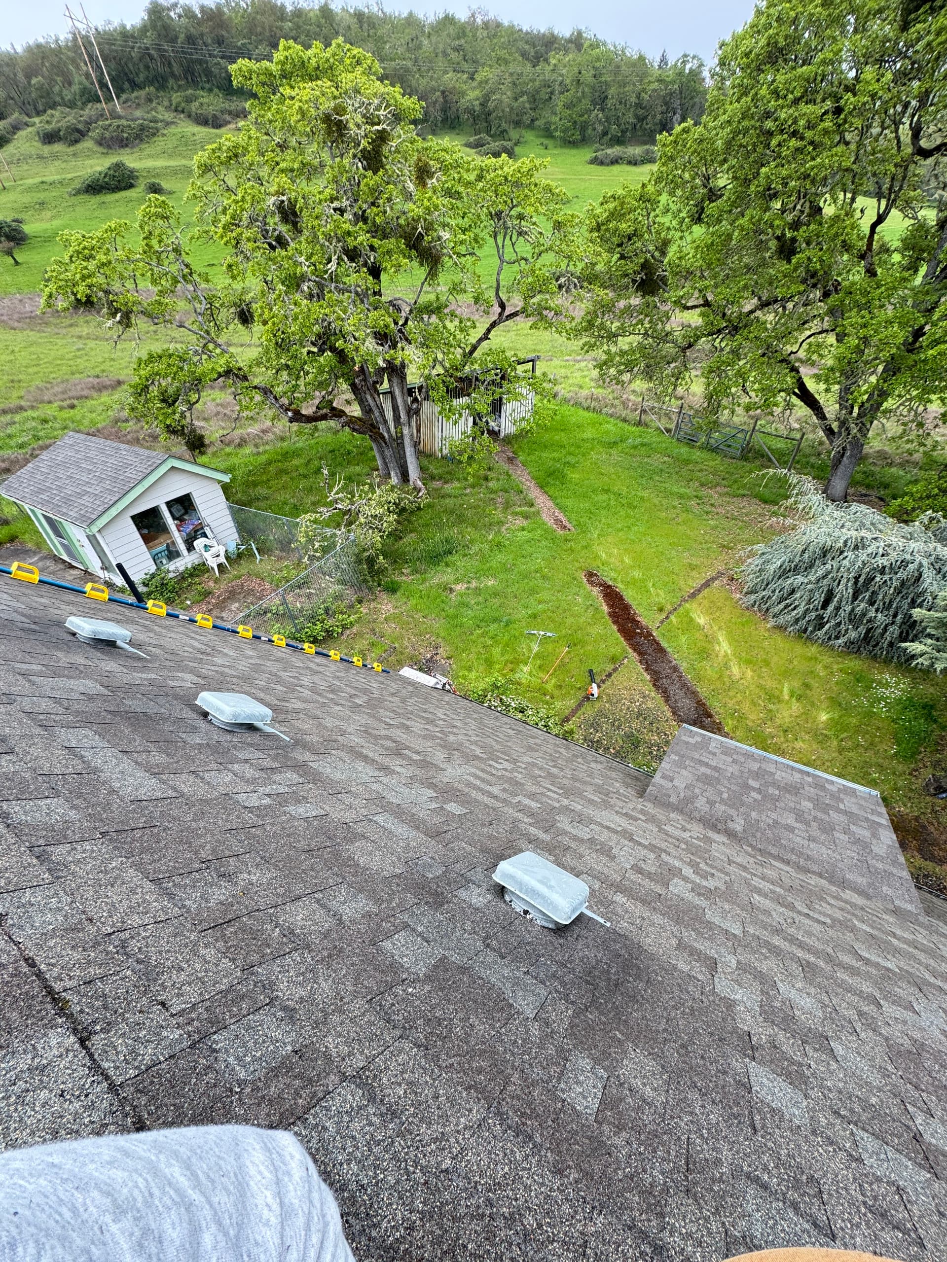 Gallery photos for Steep A-Frame Roof Moss Removal on a 12/12 Pitch: Image #8