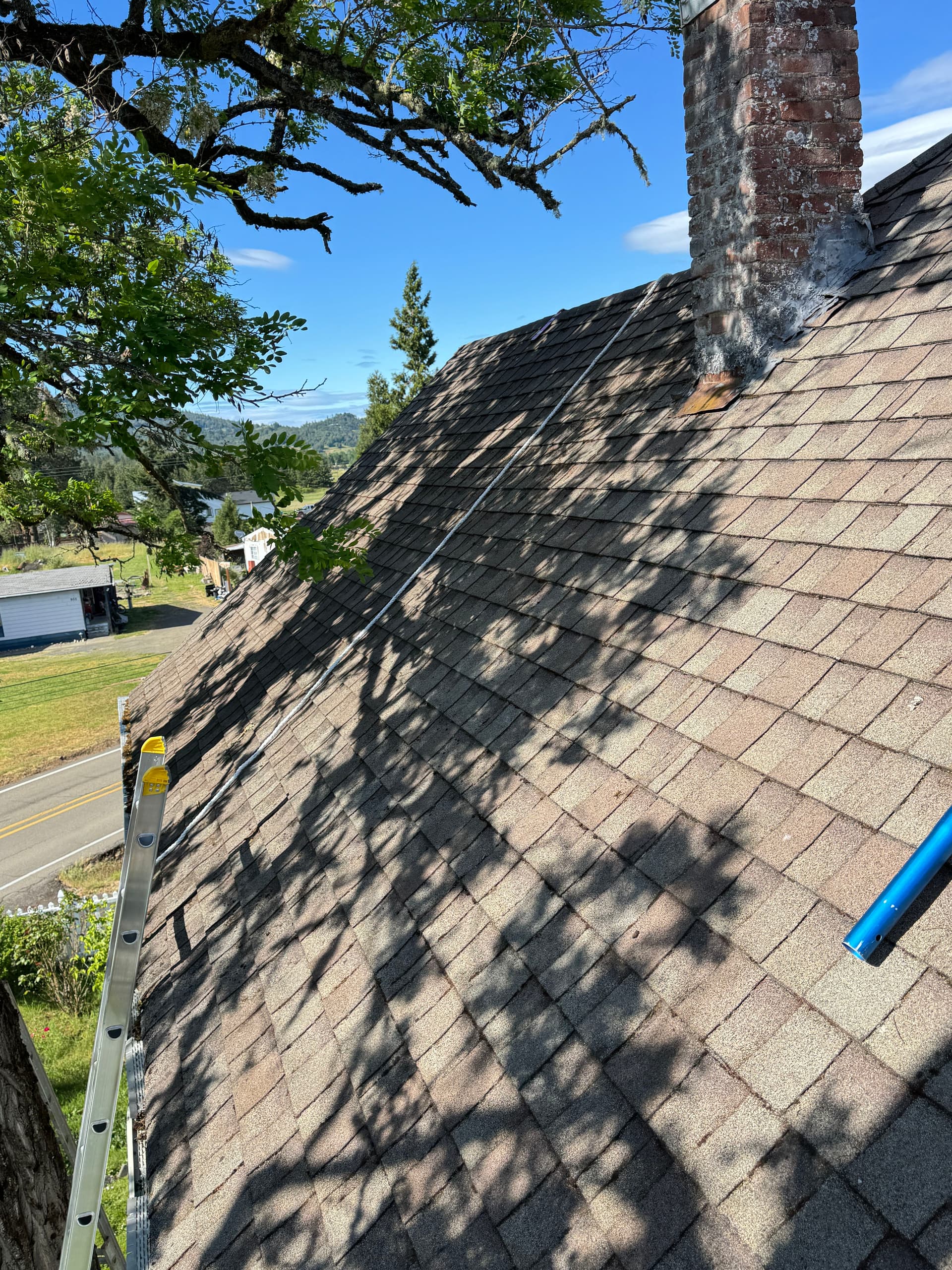 Gallery photos for Moss Removal on a Steep 2-Story Home That Had Been on My Radar: Image #5