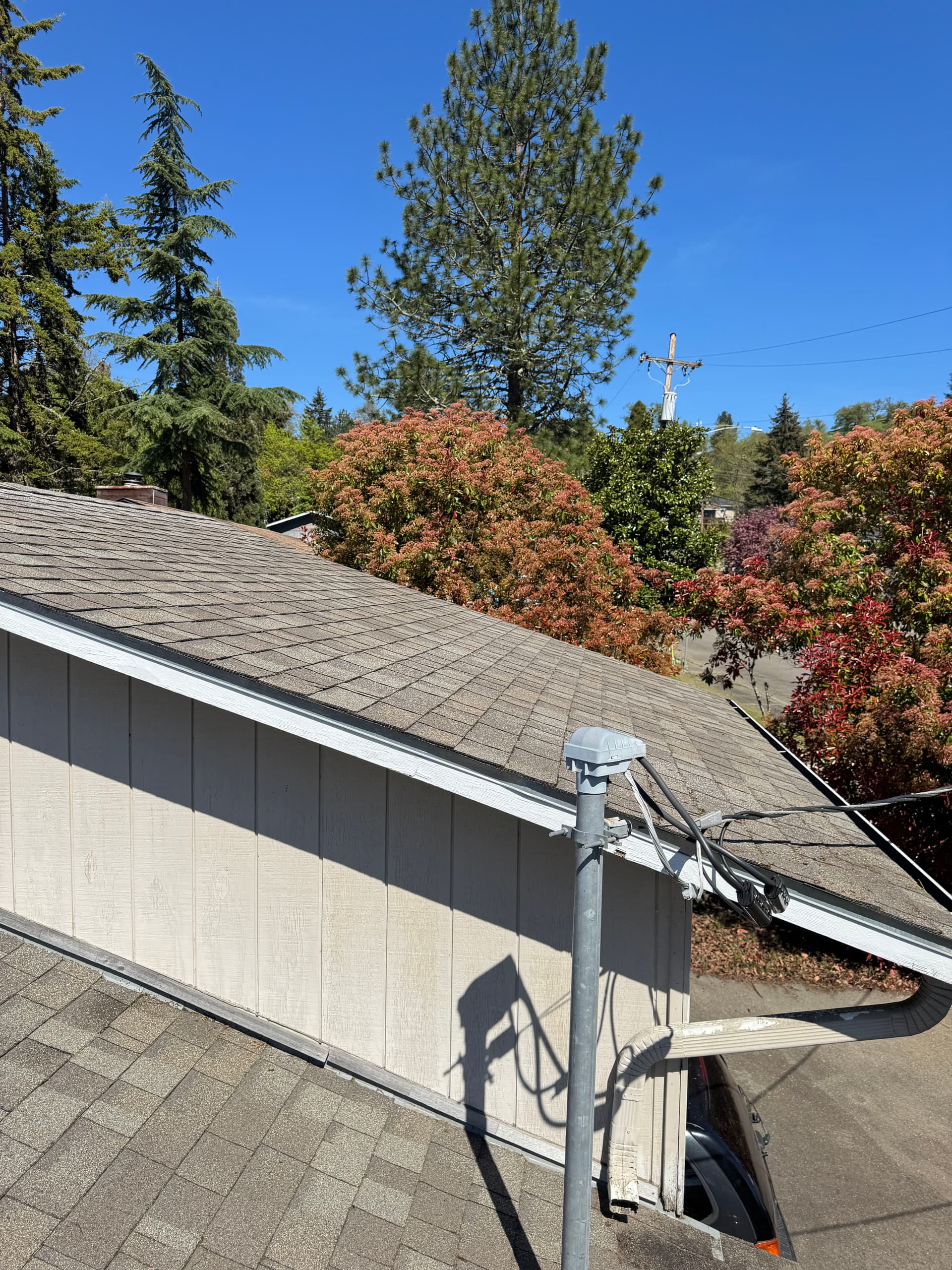 Gallery photos for Full Roof Moss Removal, Gutter Clean and Skylight Detail: Image #2