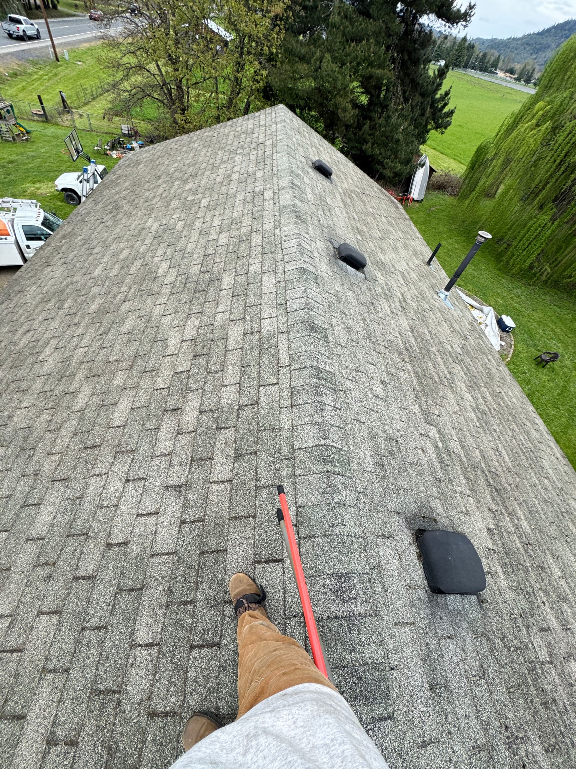 Gallery photos for Roof Moss Removal and Treatment Success: Image #2