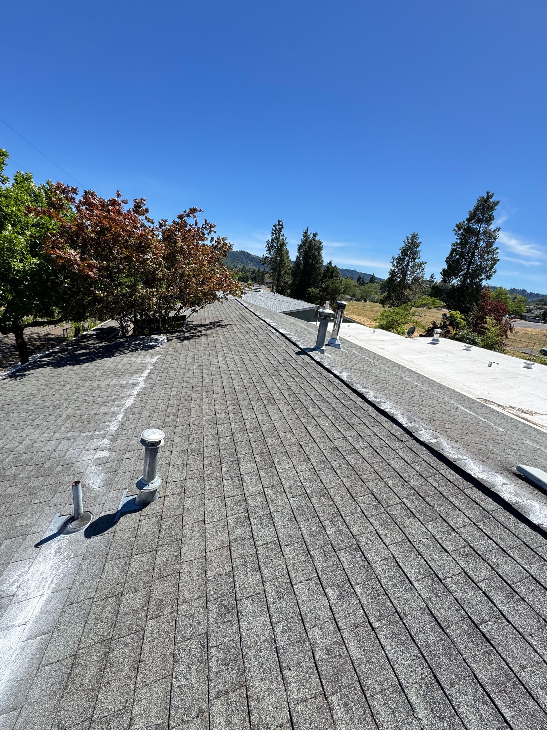 Gallery photos for Roof Moss Removal and Gutter Cleaning Done Right: Image #3