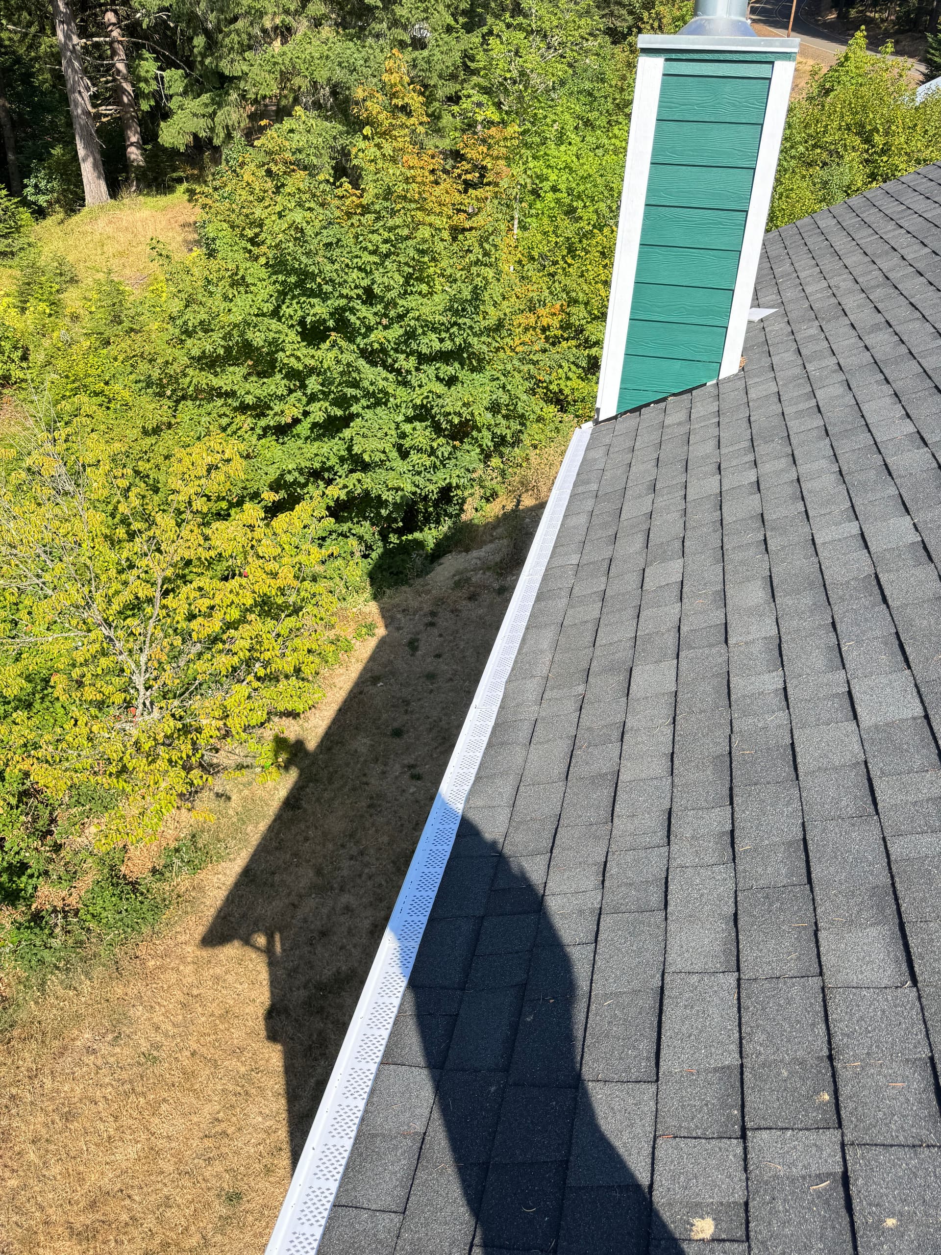 Gallery photos for Gutter Cleaning and Screen Install on a Two-Story Home: Image #3