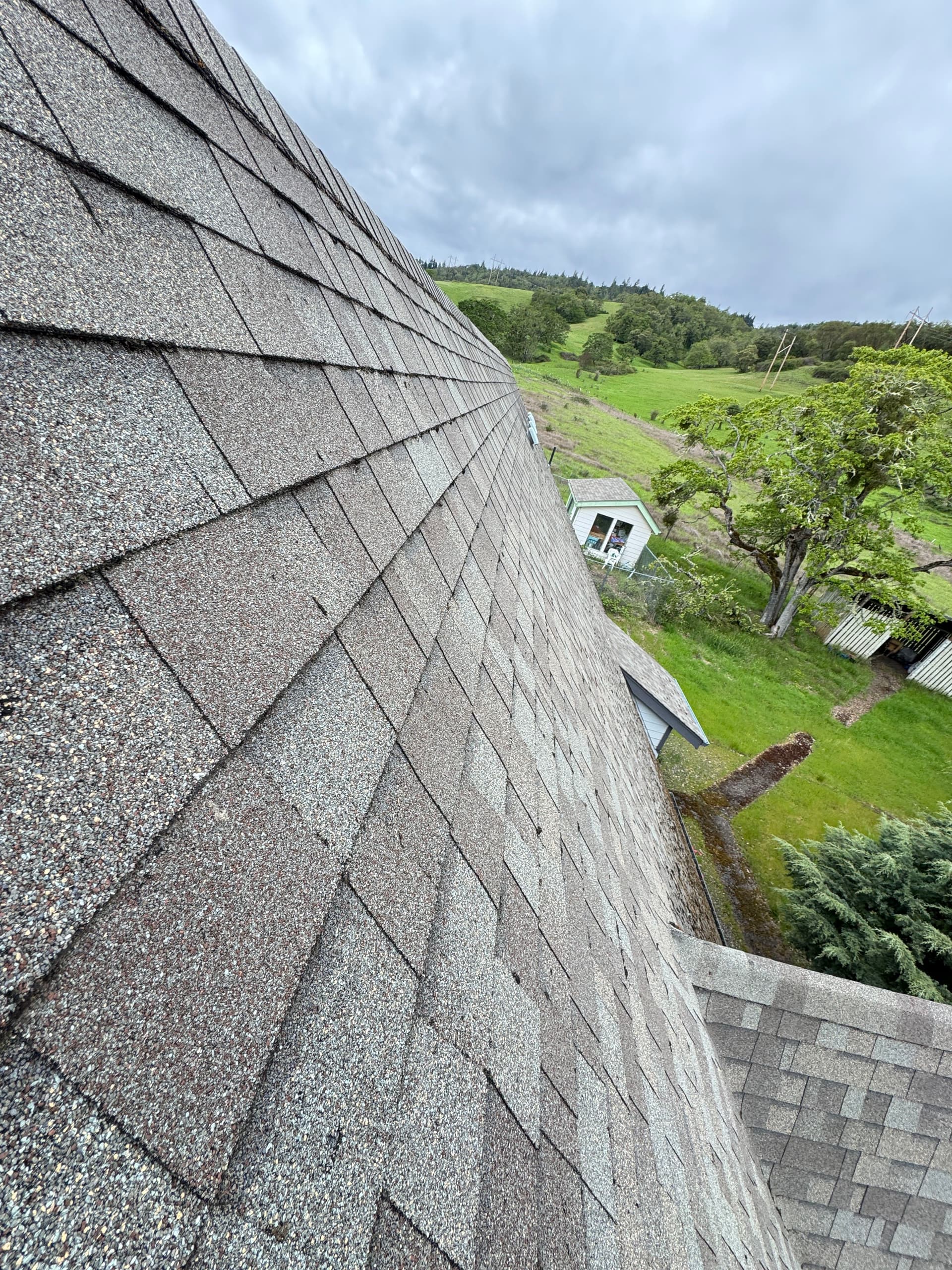 Gallery photos for Steep A-Frame Roof Moss Removal on a 12/12 Pitch: Image #6