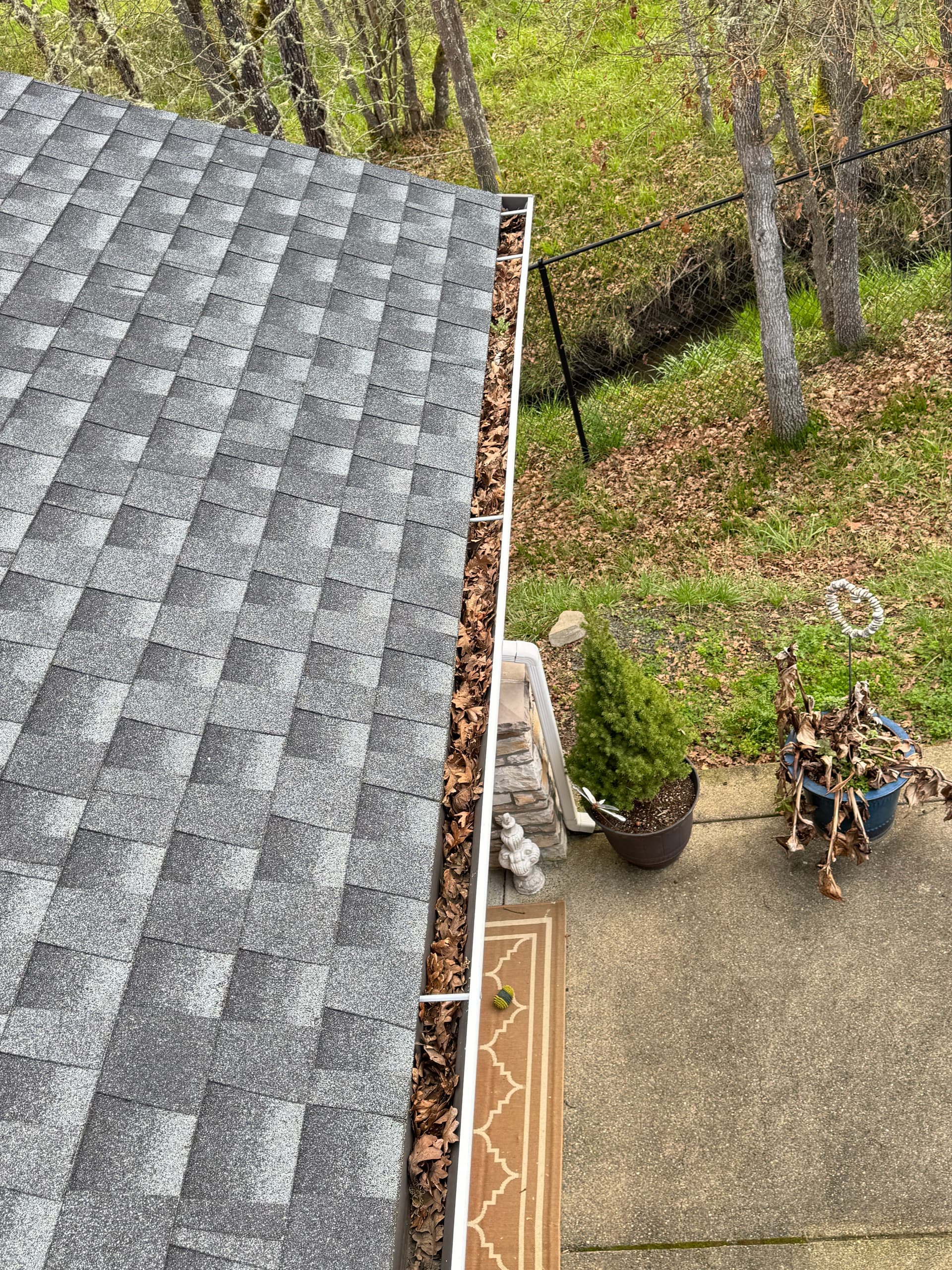 Gallery photos for Roof Restoration and Gutter Cleaning Success: Image #1