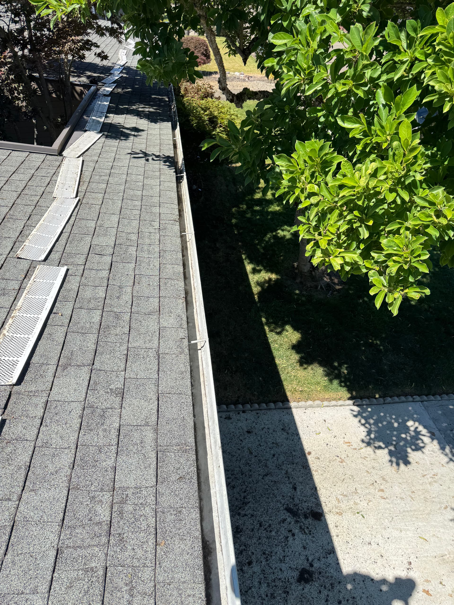 Gallery photos for Roof Moss Removal and Gutter Cleaning Done Right: Image #5